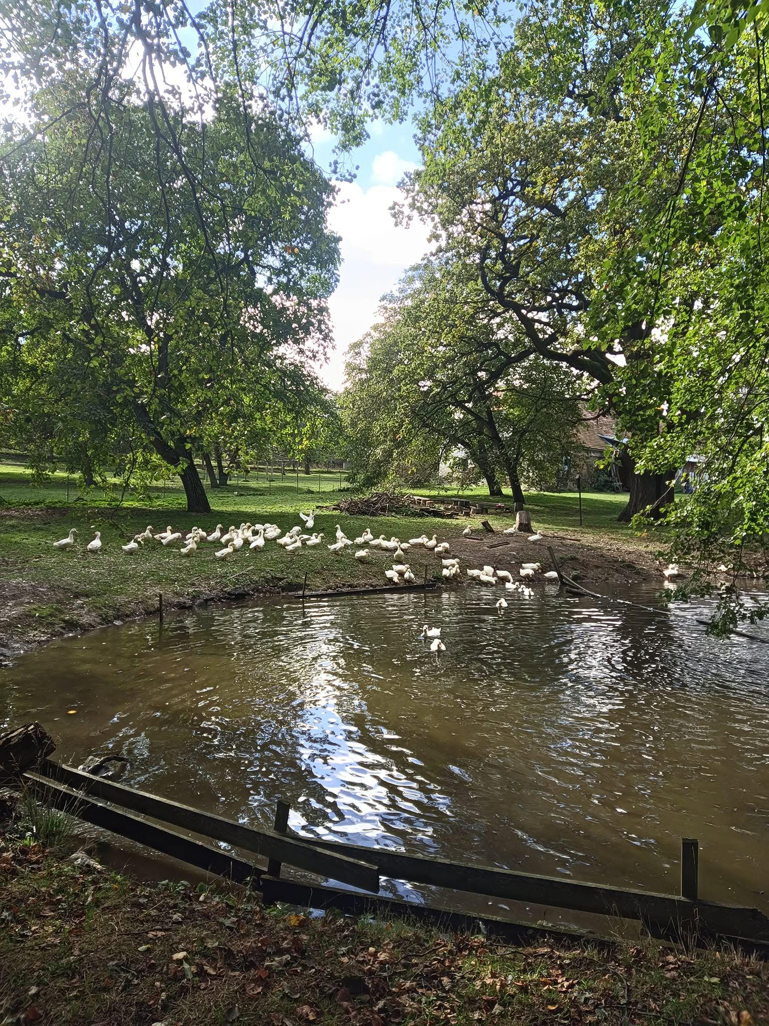 Statek rodiny Počepických foto 6