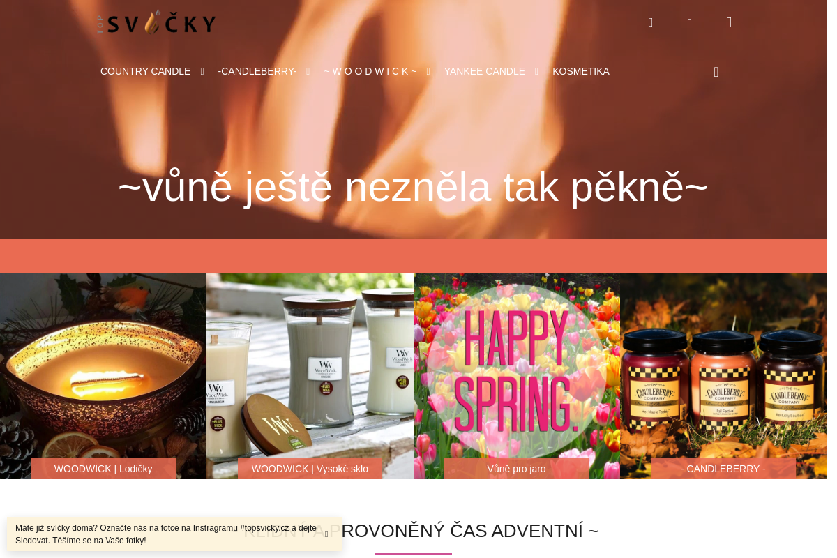 Topsvicky.cz