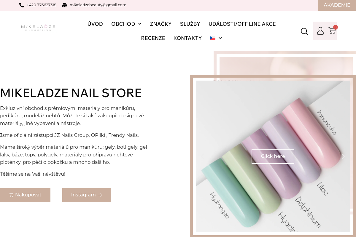 Mikeladzenailstore.com