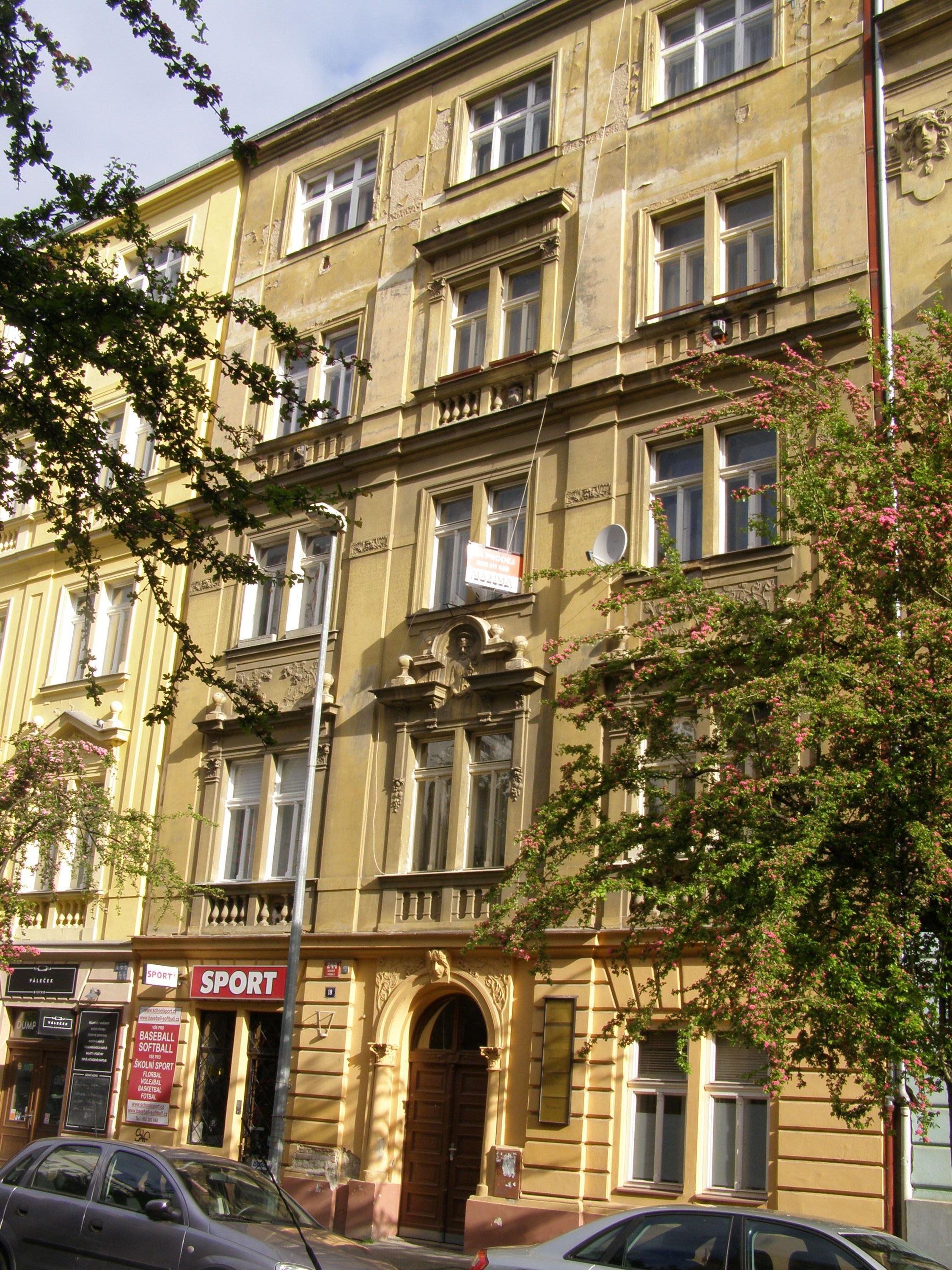 School Sport foto 4
