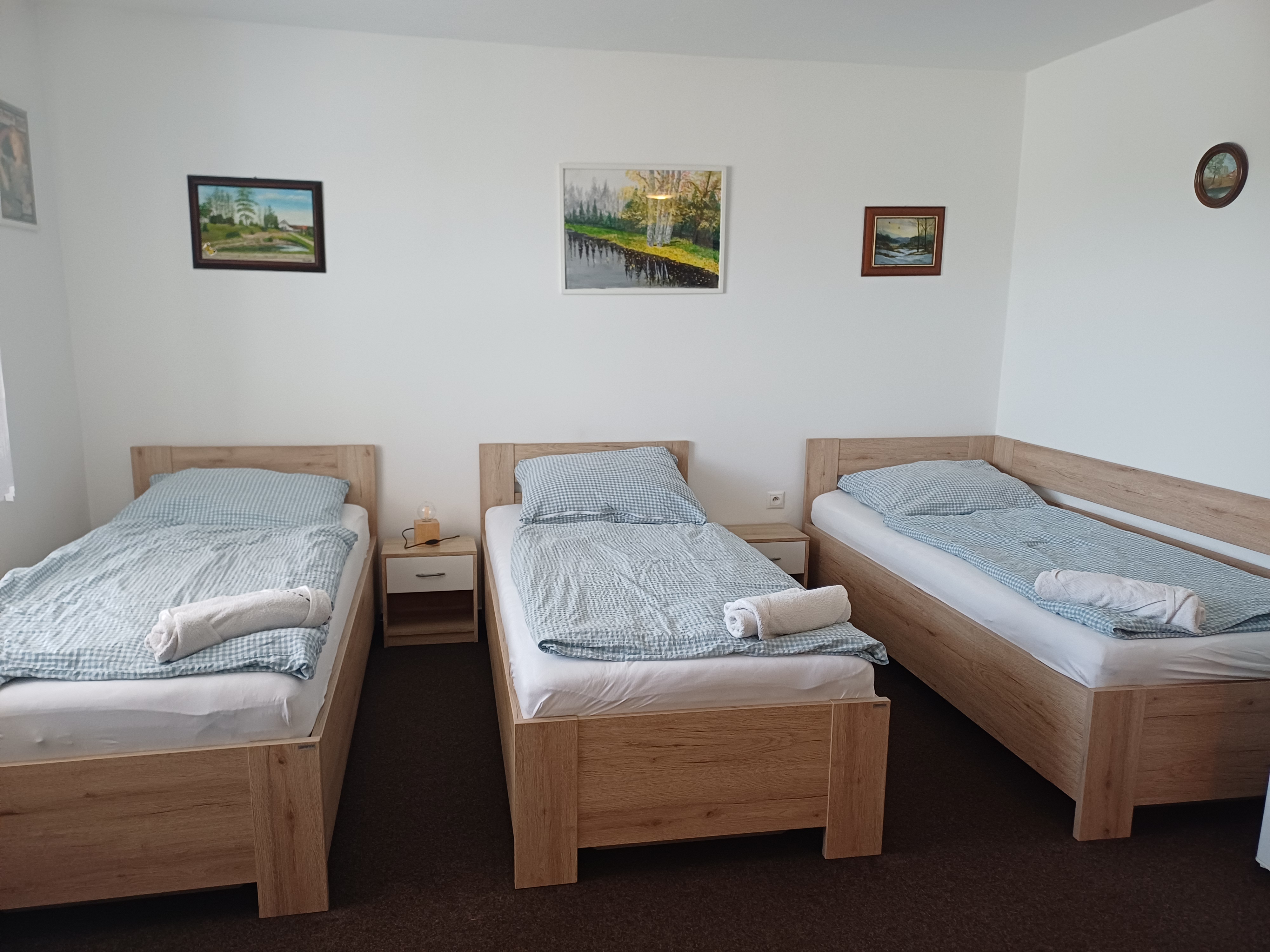 Penzion u Šimánků foto 3