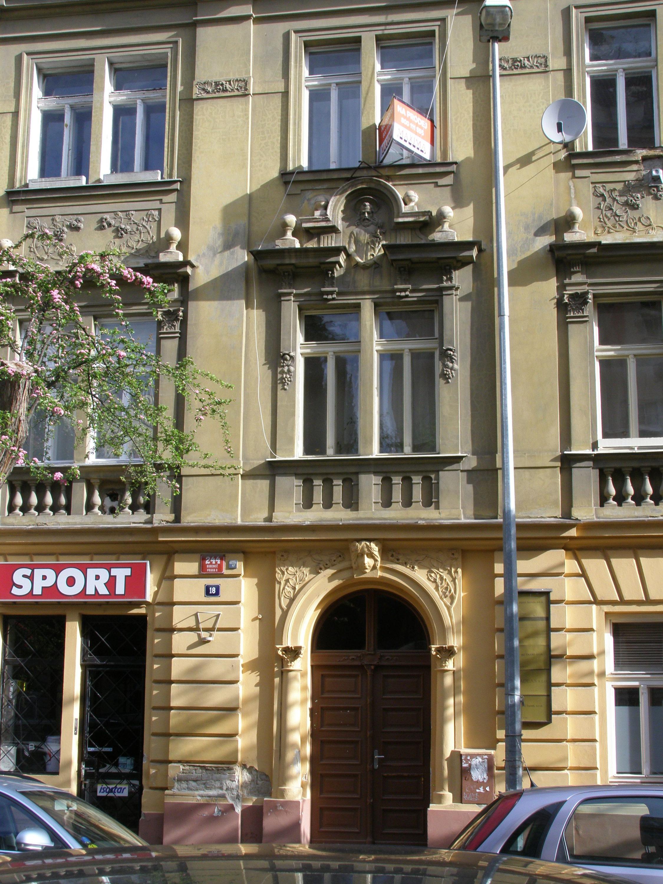 School Sport foto 3
