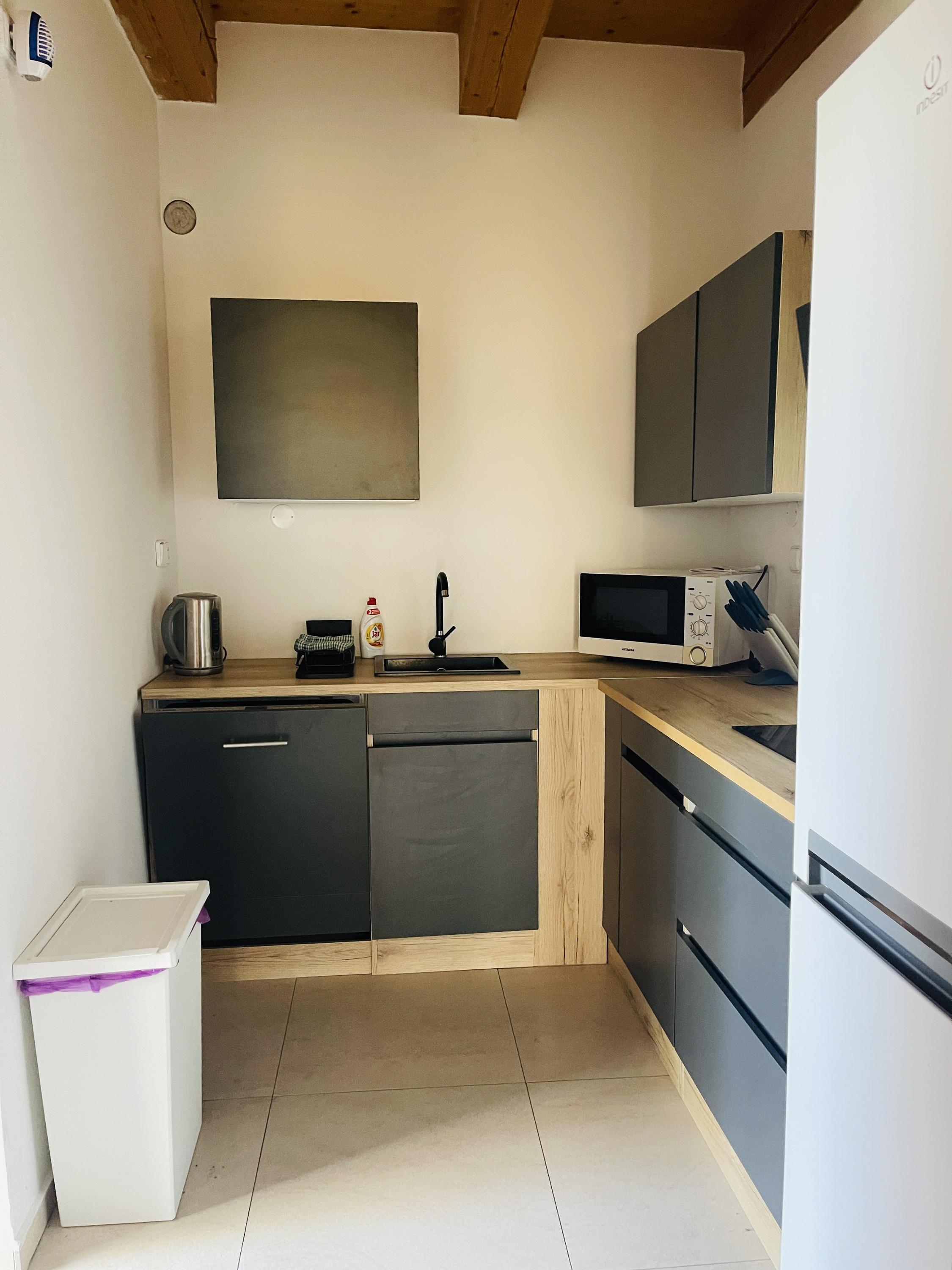 Apartmán Šumava - Lipno - Horní Planá foto 3