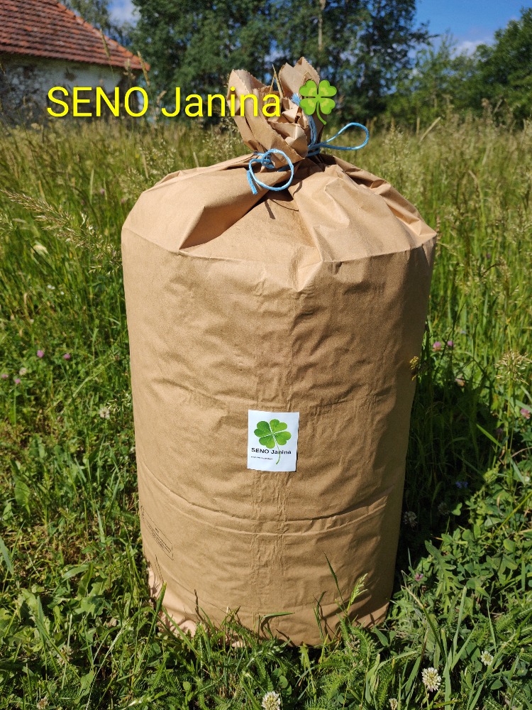 SENO Janina foto 2
