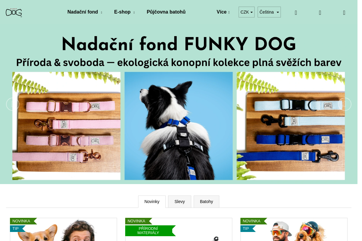 FUNKY DOG