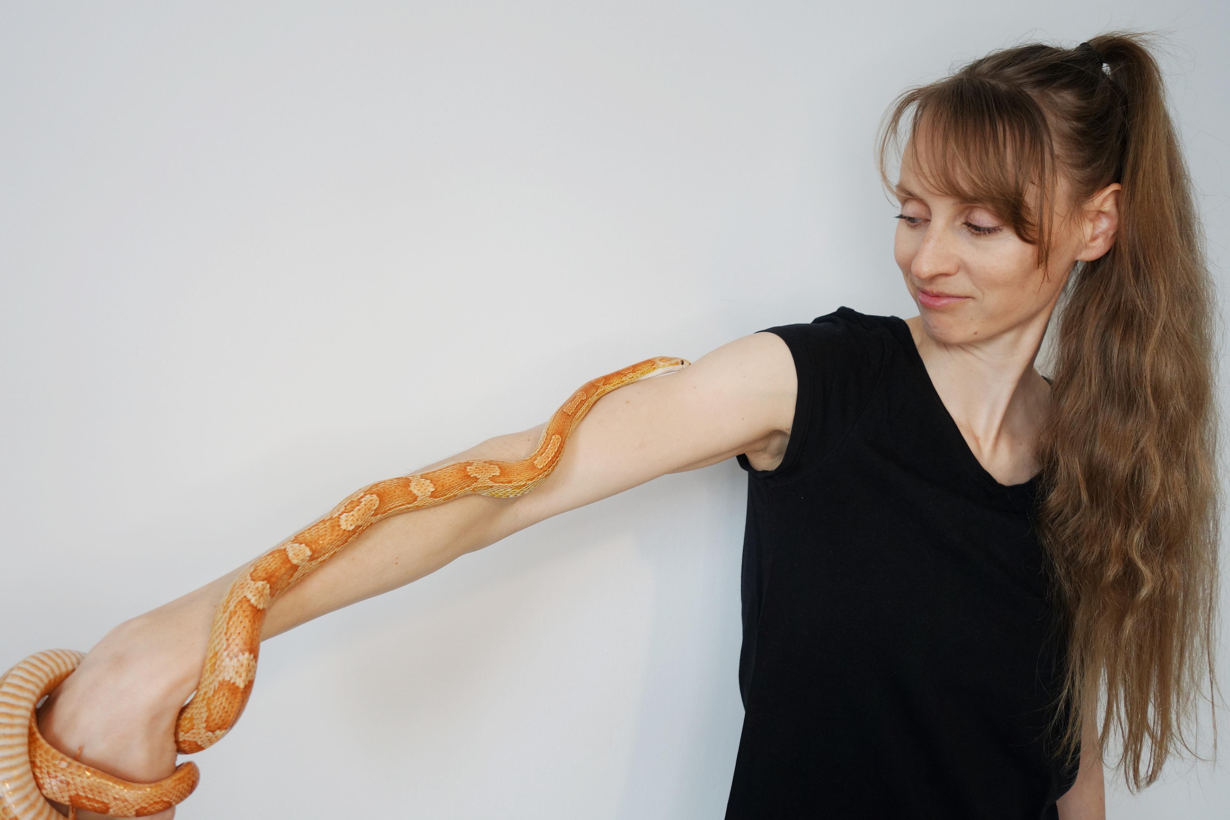 ReptiVet foto 3