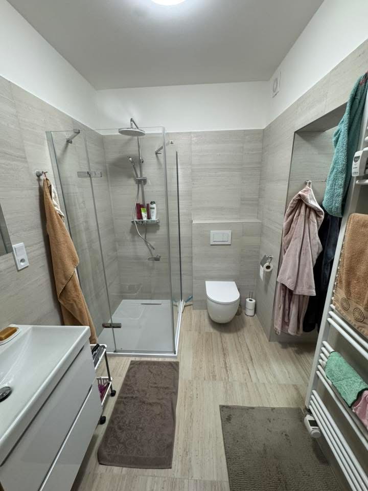 Rekonstrukce Labuda foto 3