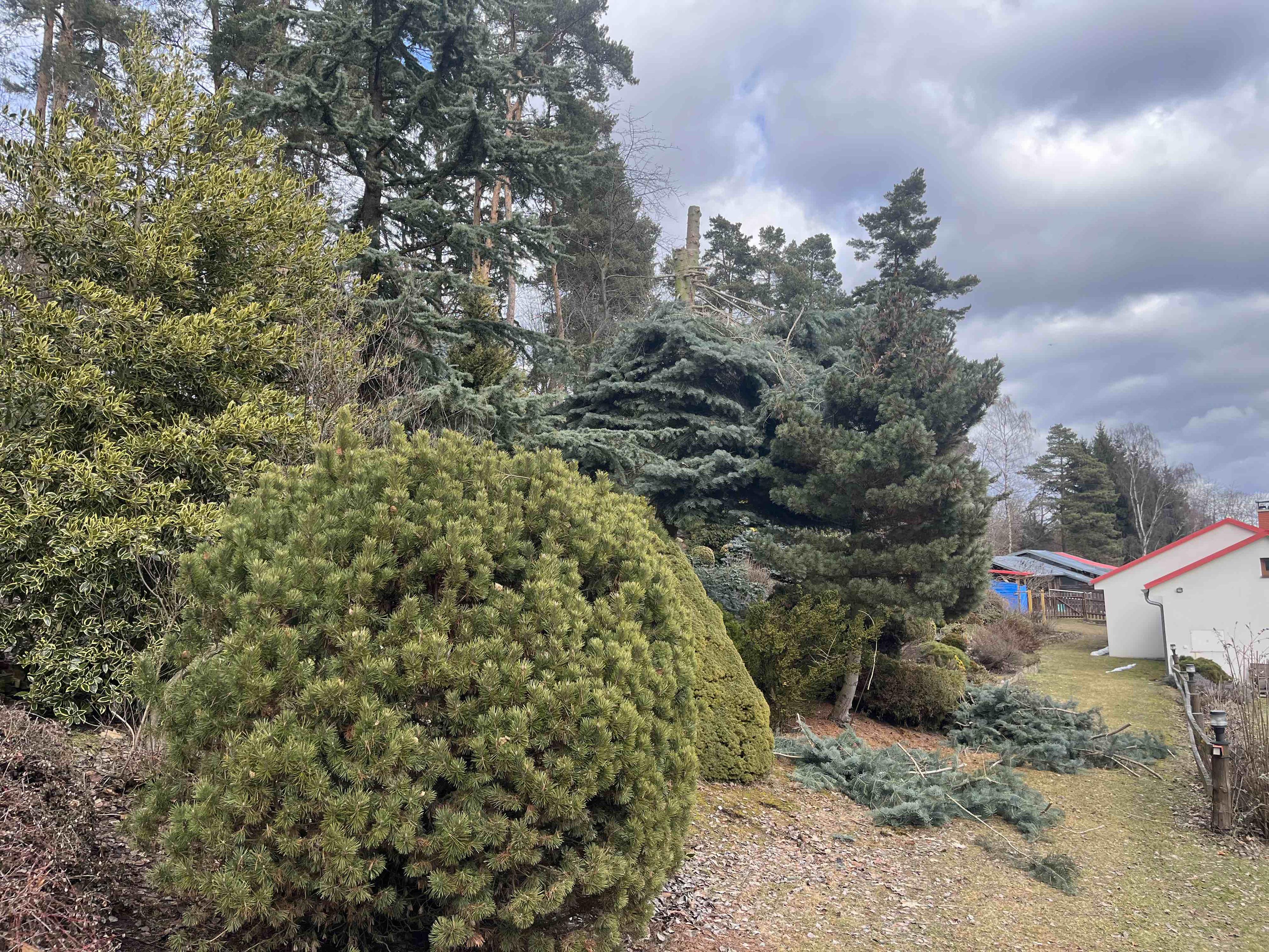 Zahrady Voráček - Arboristika, sečení a údržba zeleně foto 6