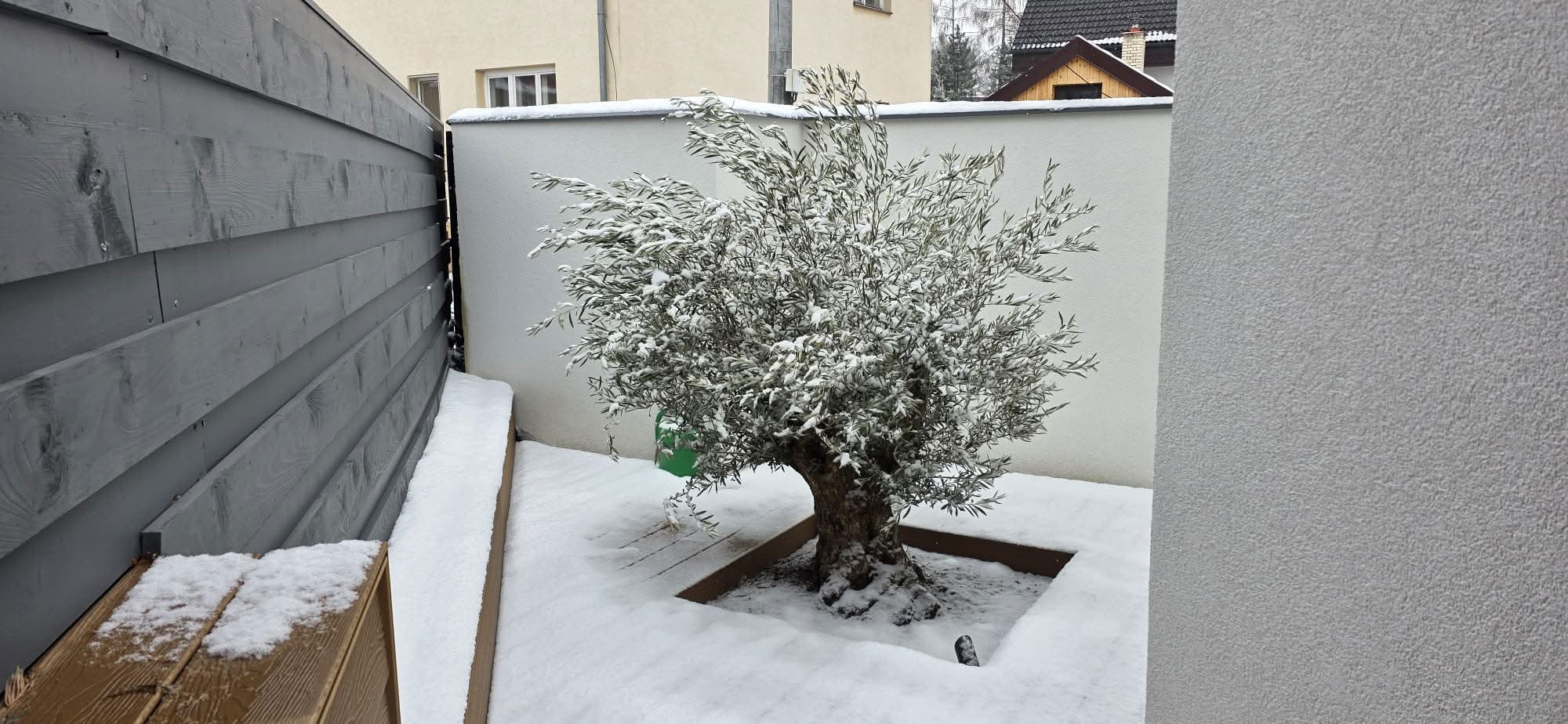 Apartmán u Pivovaru foto 4