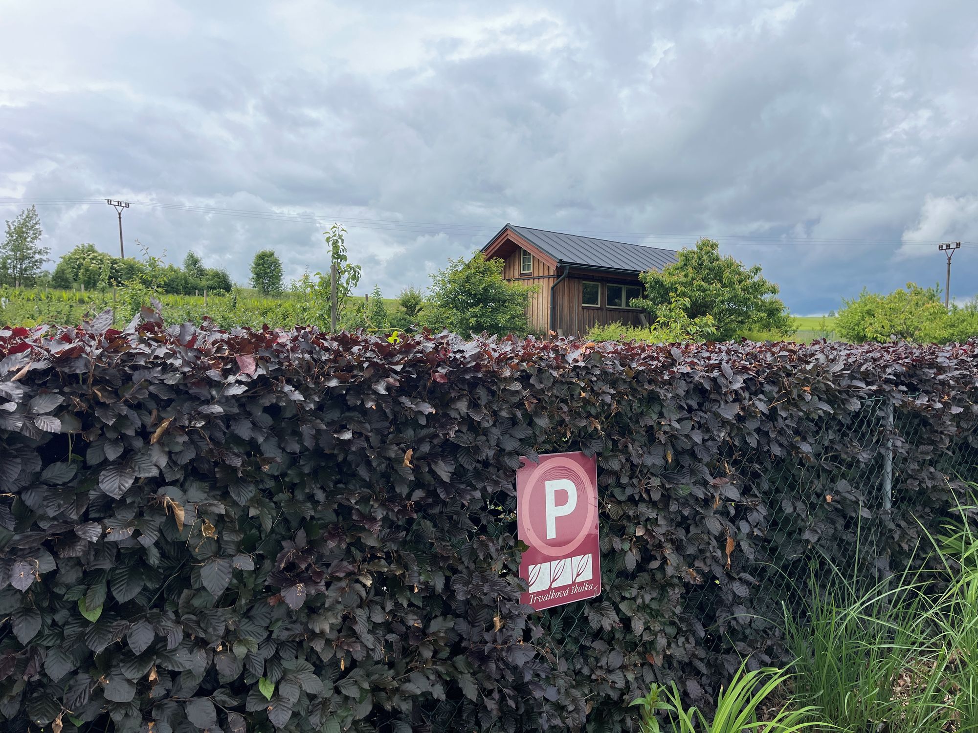 Trvalková školka foto 2