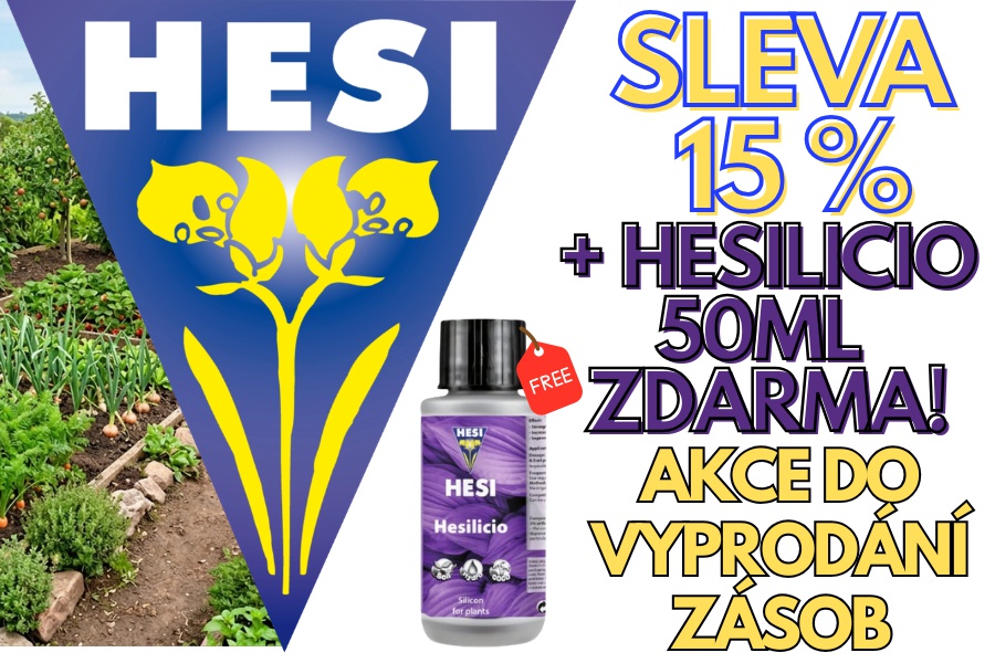 HESI SLEVA