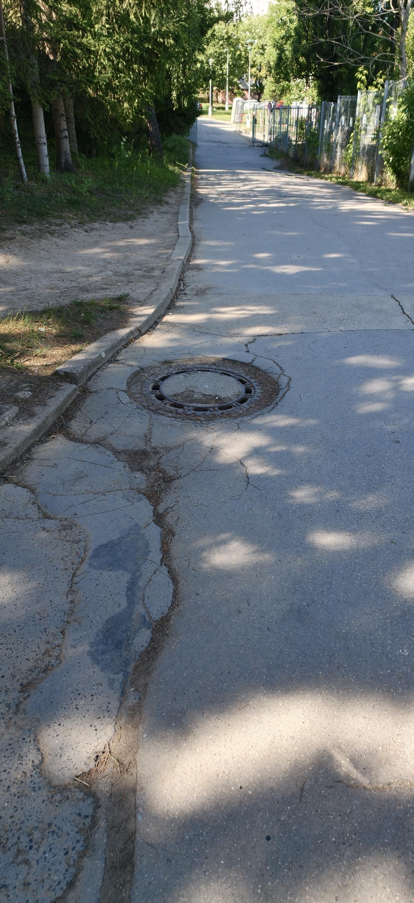ZŠ Brno, Bosonožská foto 3