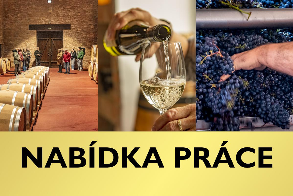 Volná pracovní místa ve Valticích