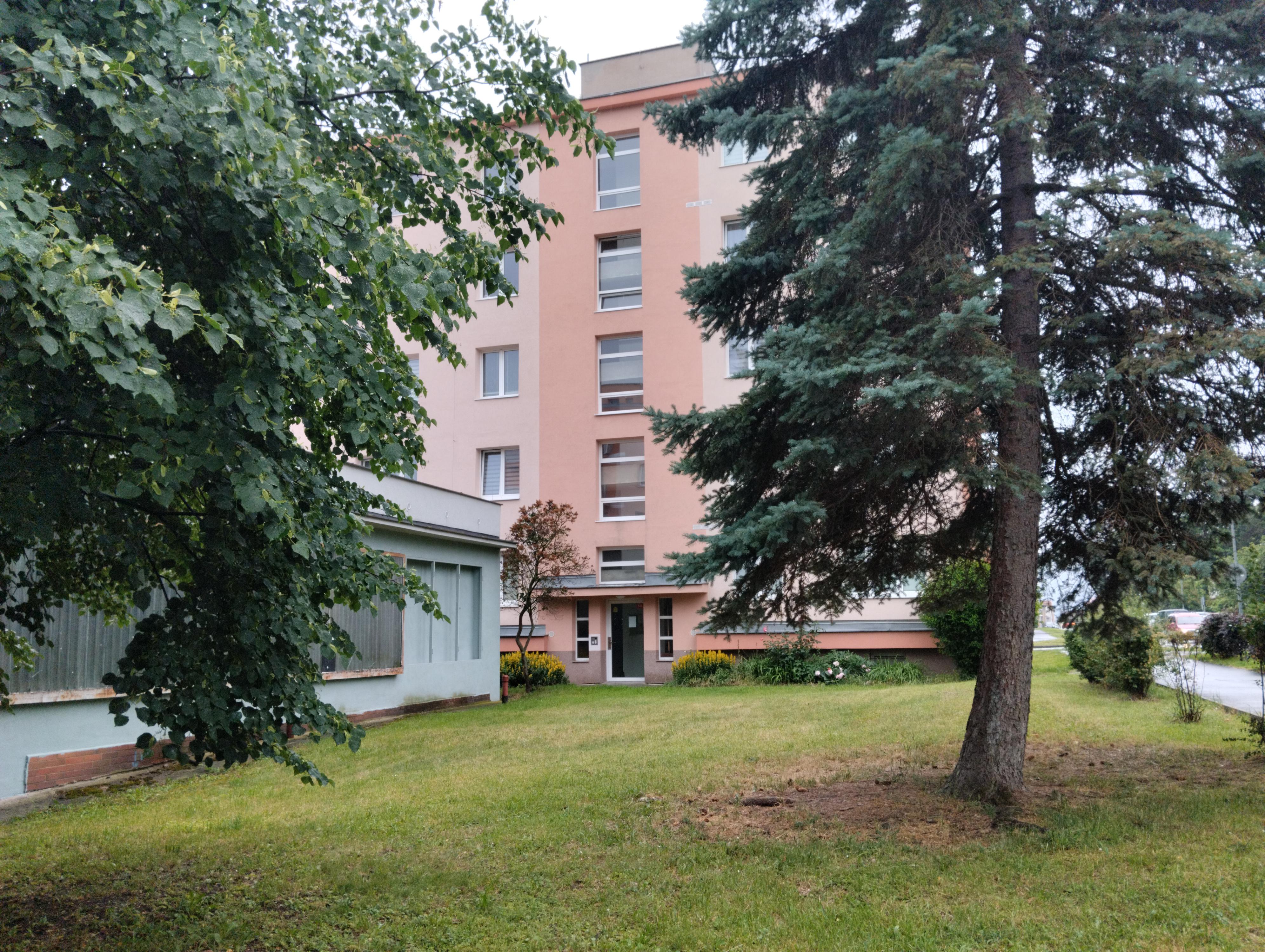 PuAnElektro foto 2