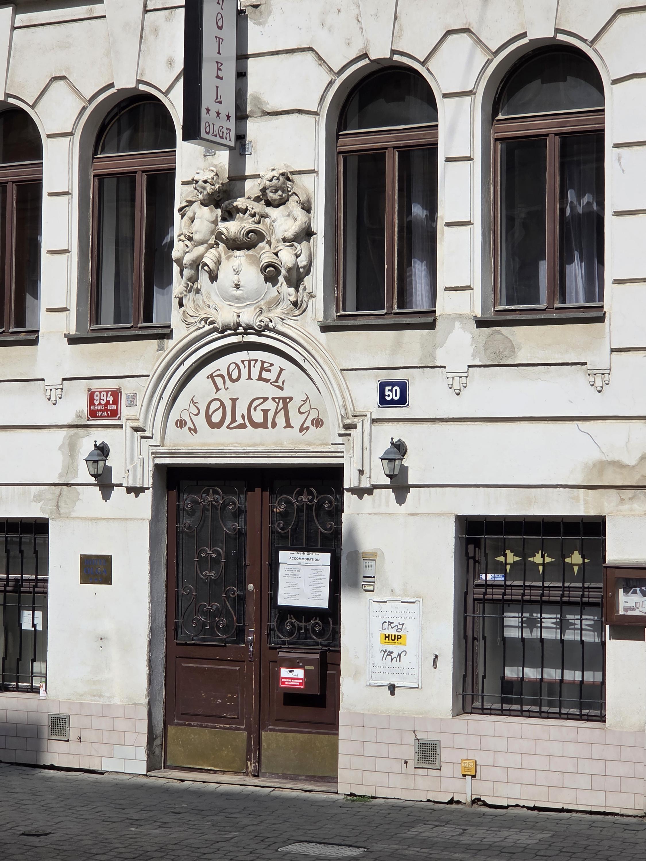 Restaurace Hotel Olga foto 1
