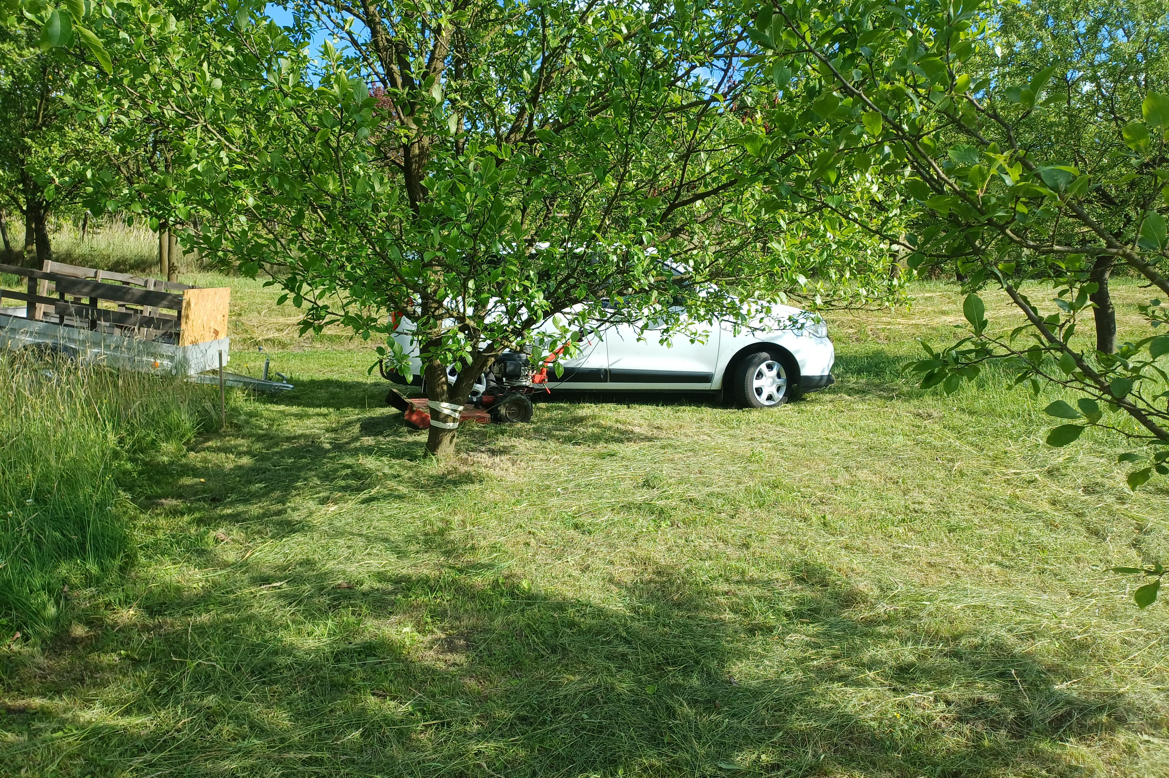 Služby Obdržálek