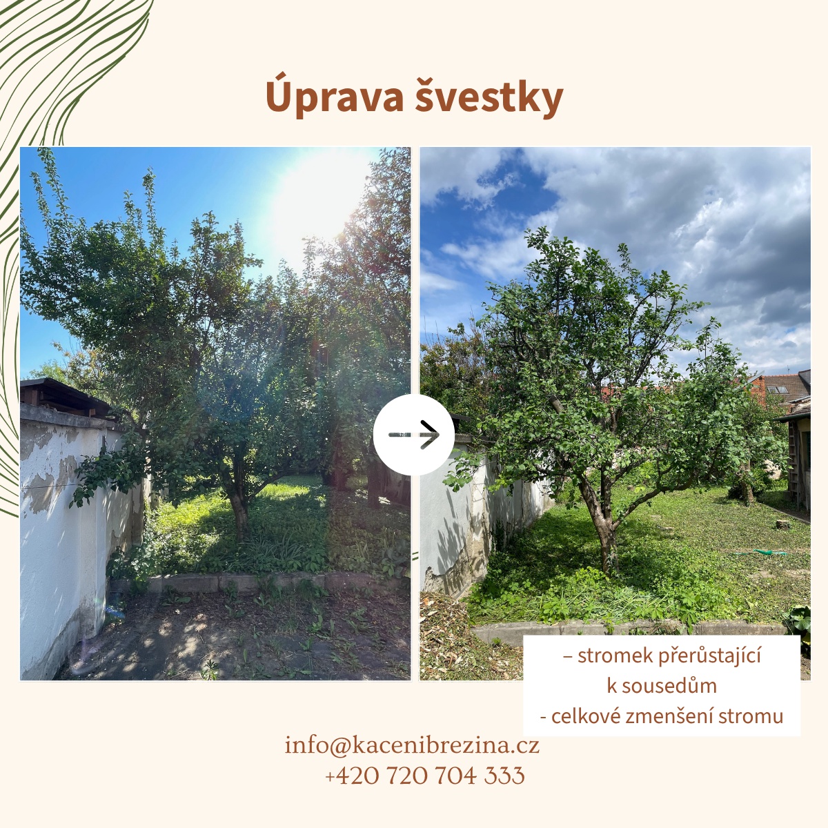 Kácení Březina foto 2