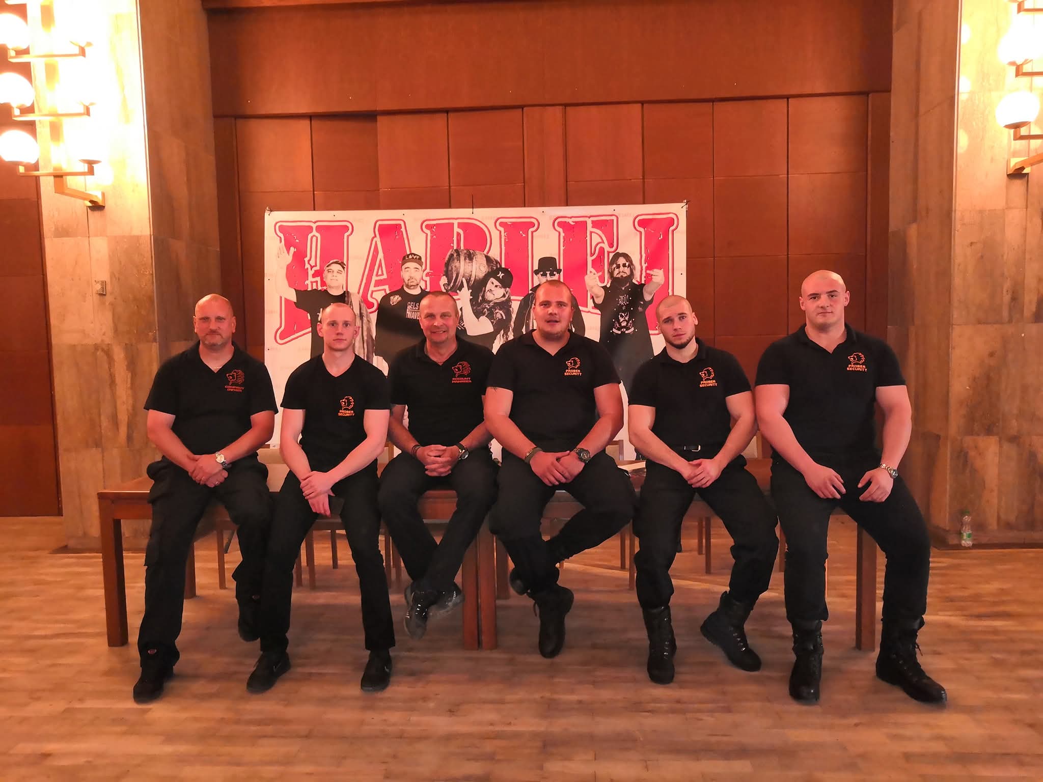 Probea security foto 6