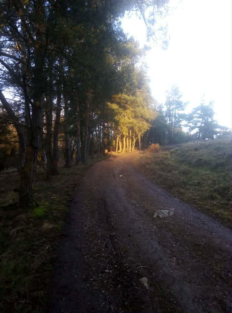Farma-brod-ranch foto 5