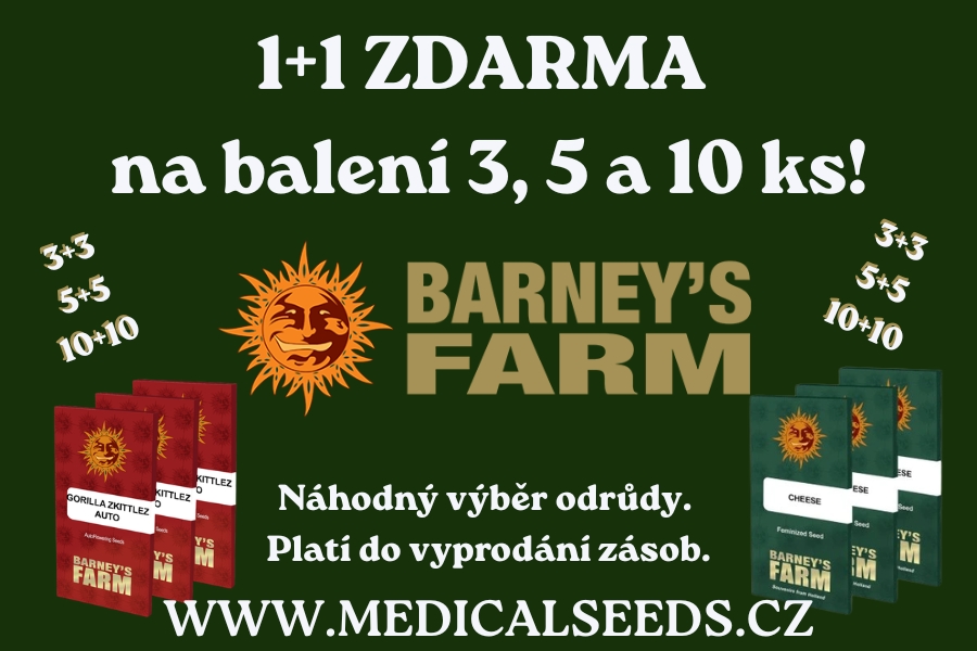 1+1 ZDARMA