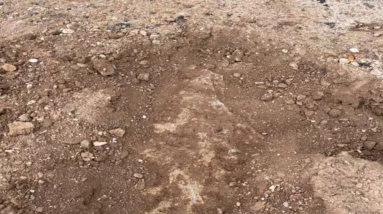TrávníkPlus foto 3