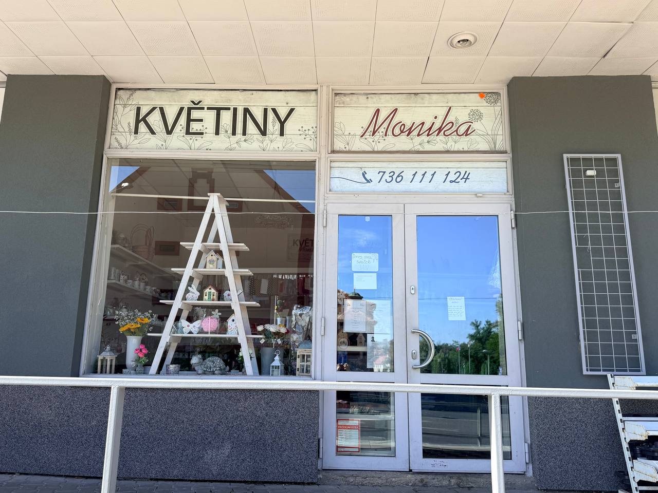 Květiny Monika