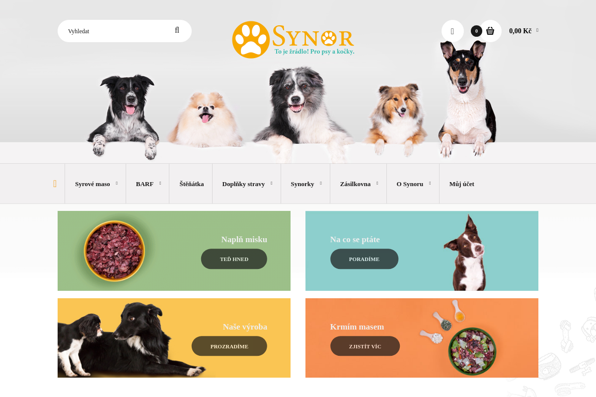 Synor.cz