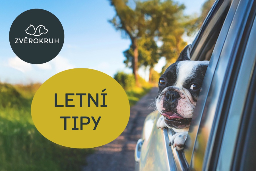 Užijte si léto s mazlíčkem!
