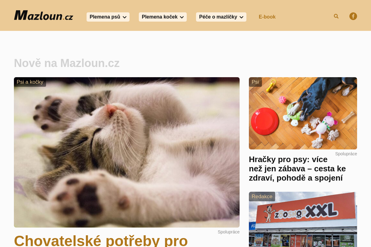 Mazloun.cz