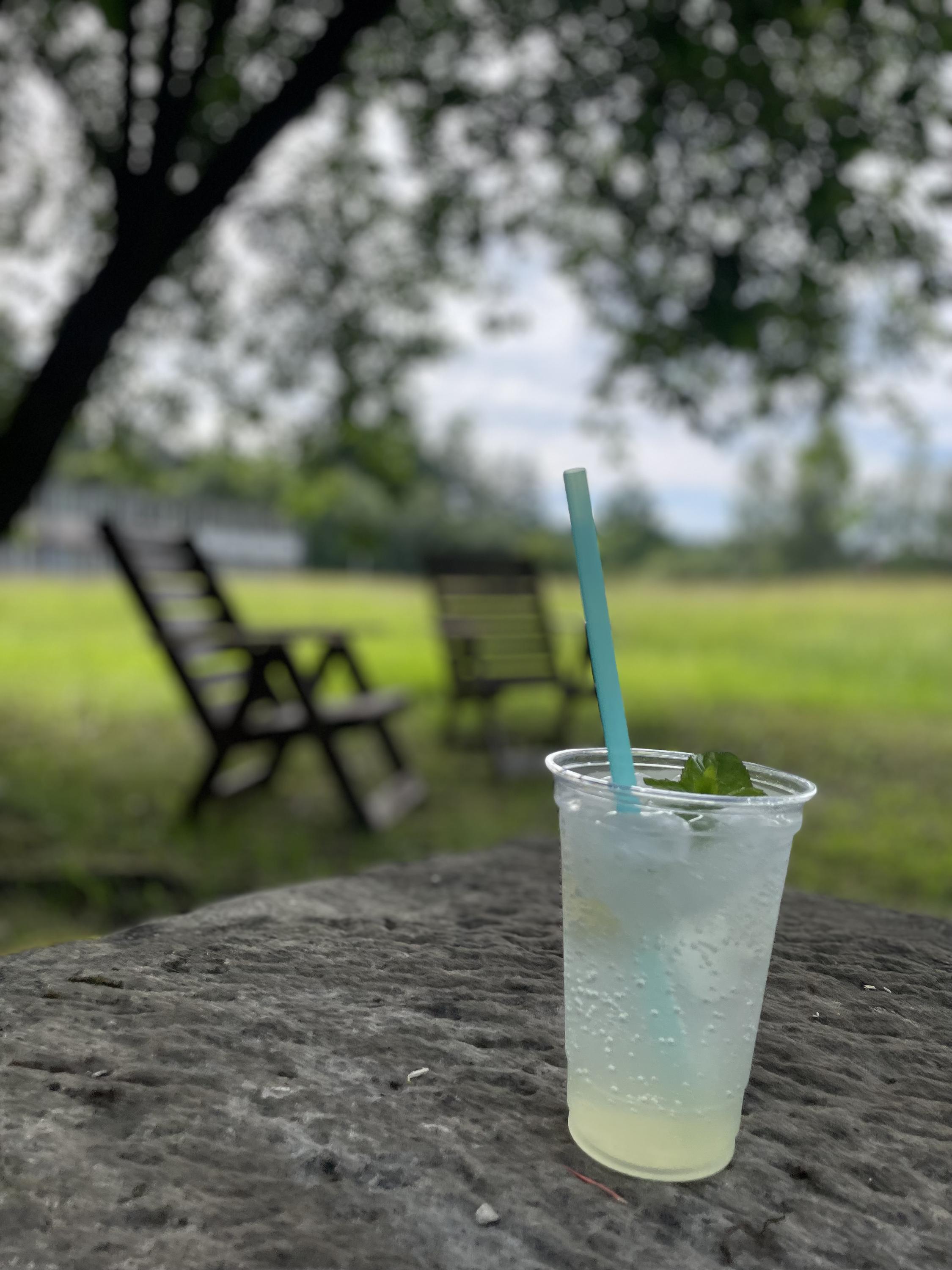 Zmrzkačka foto 3