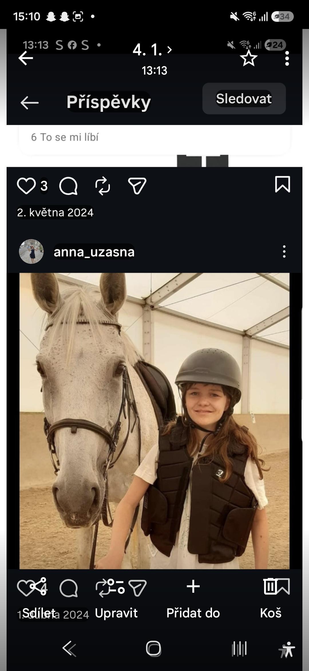 Jízdárna Parkur foto 2