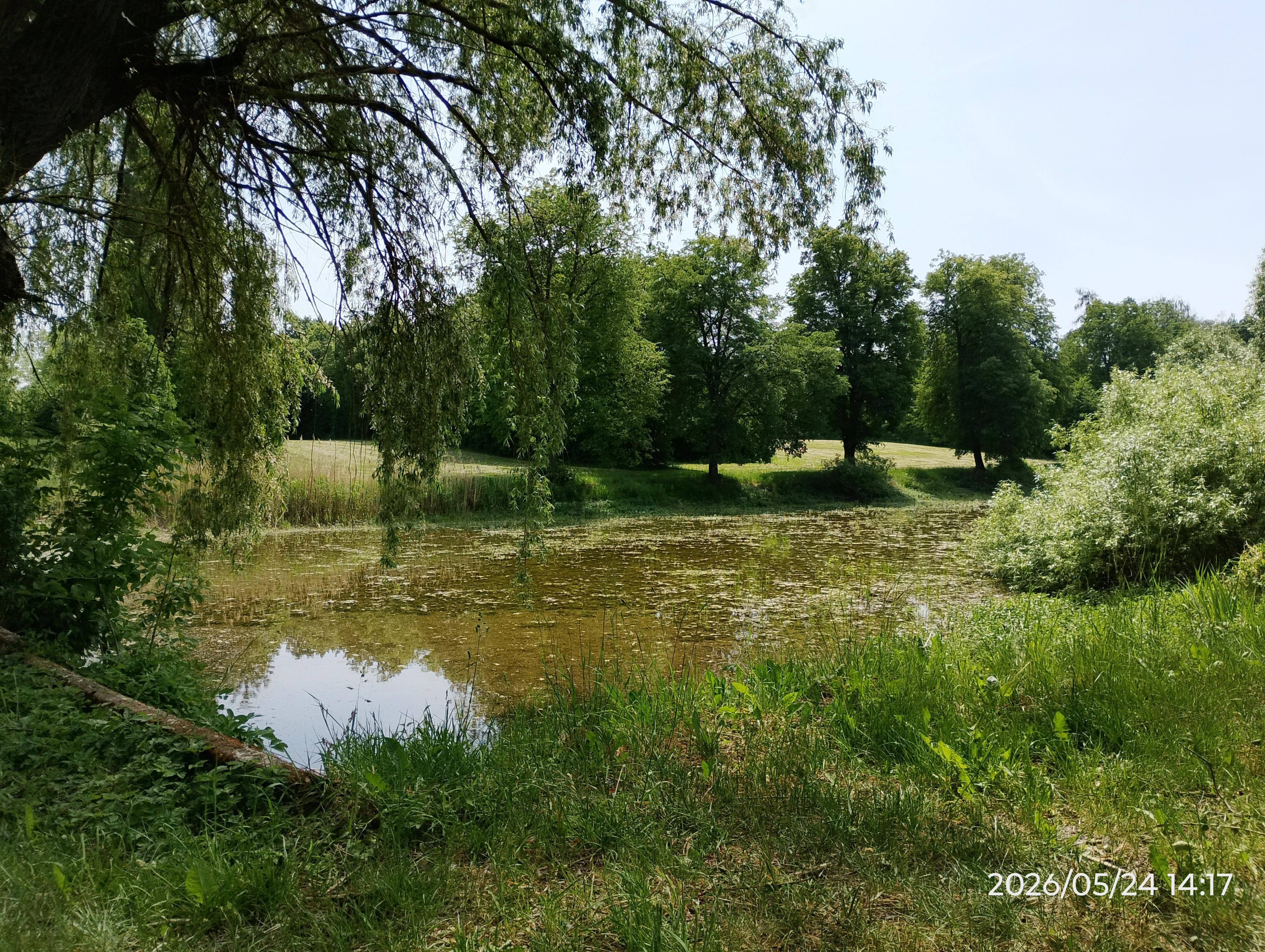 Koupaliště Městec Králové foto 5
