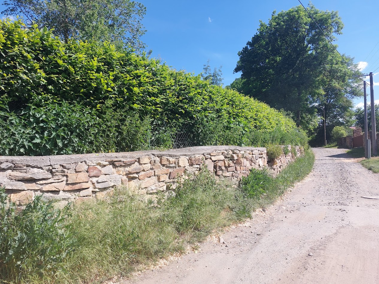 ZAHRADNICKÉ SLUŽBY - Ing. Arnošt Ingr foto 2