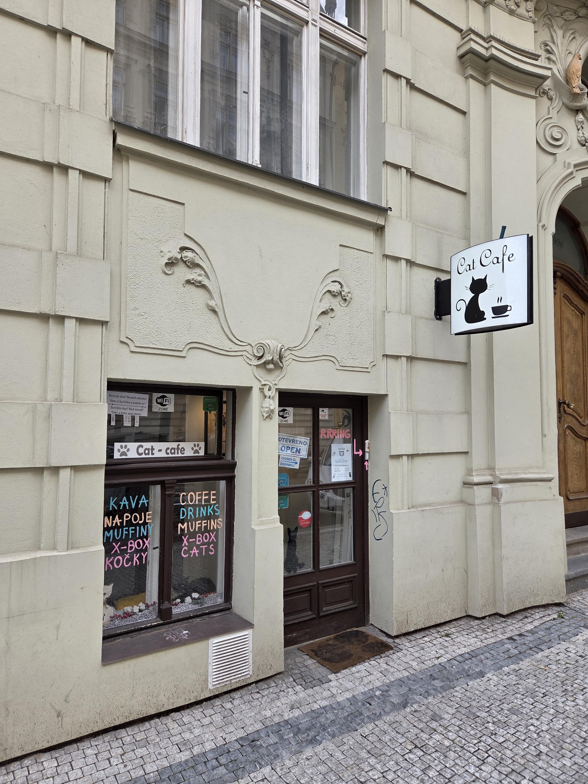Cat Cafe Prague foto 1