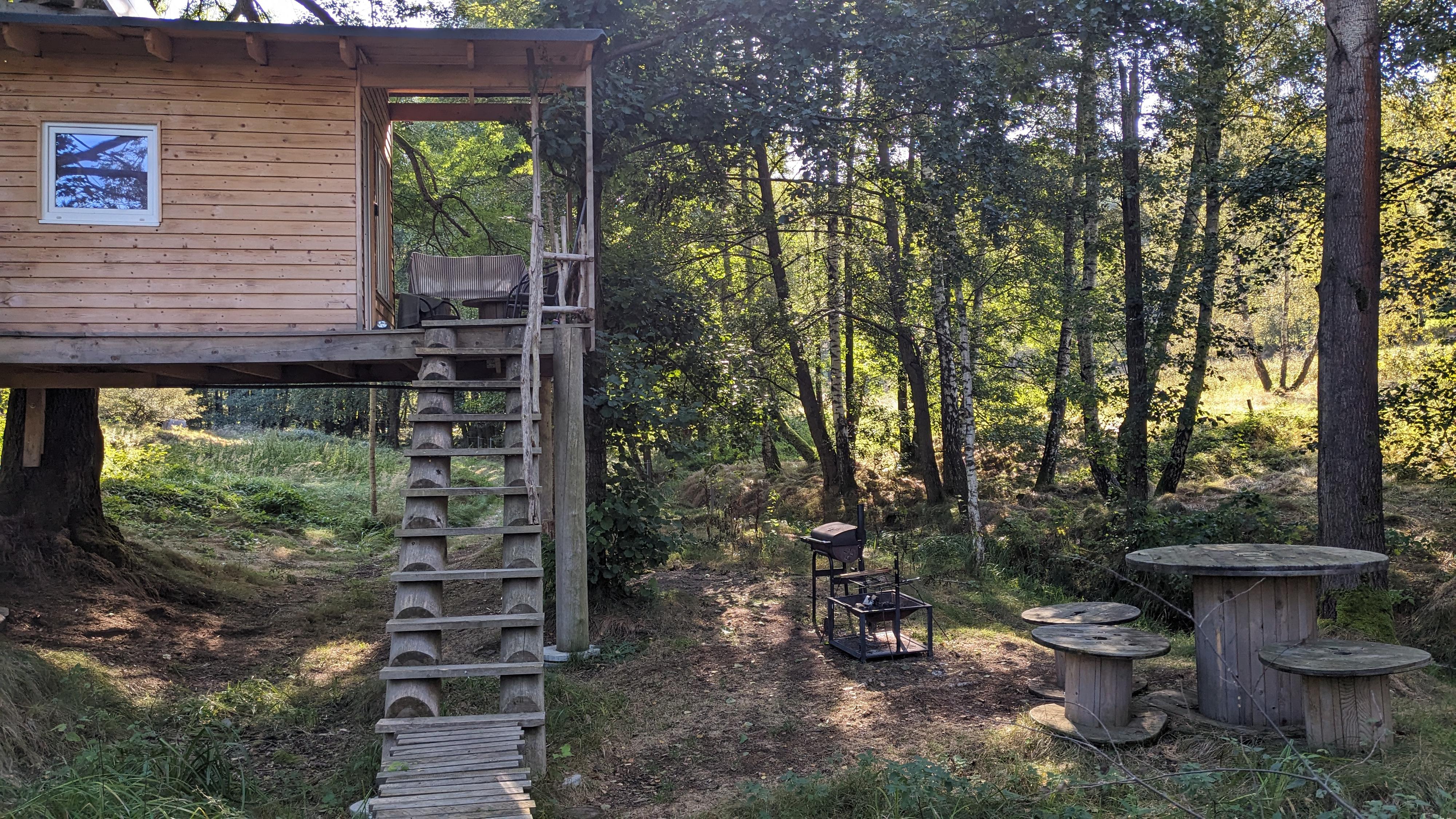 Treehouse LEA