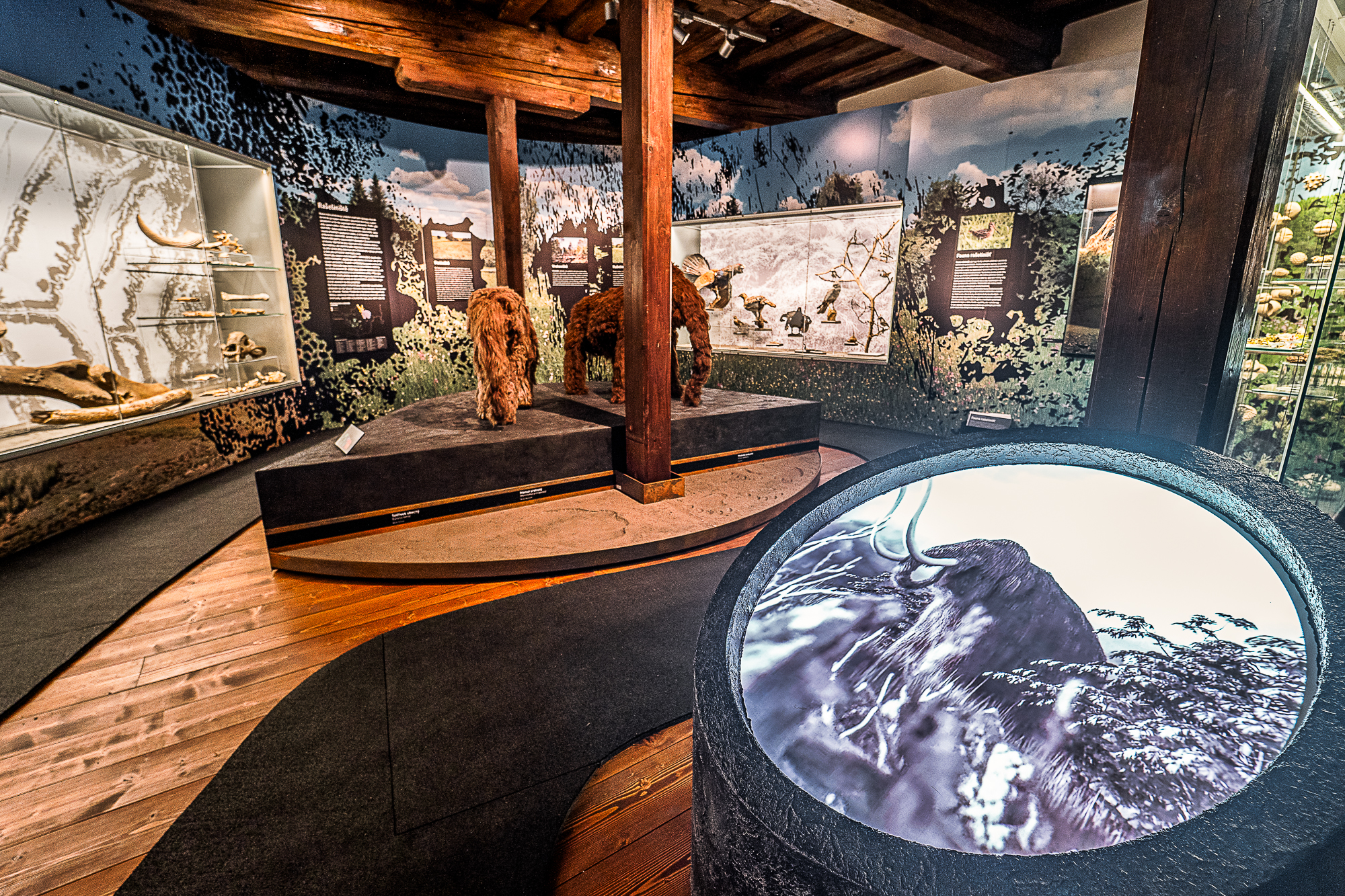Muzeum Vysočiny Jihlava foto 6