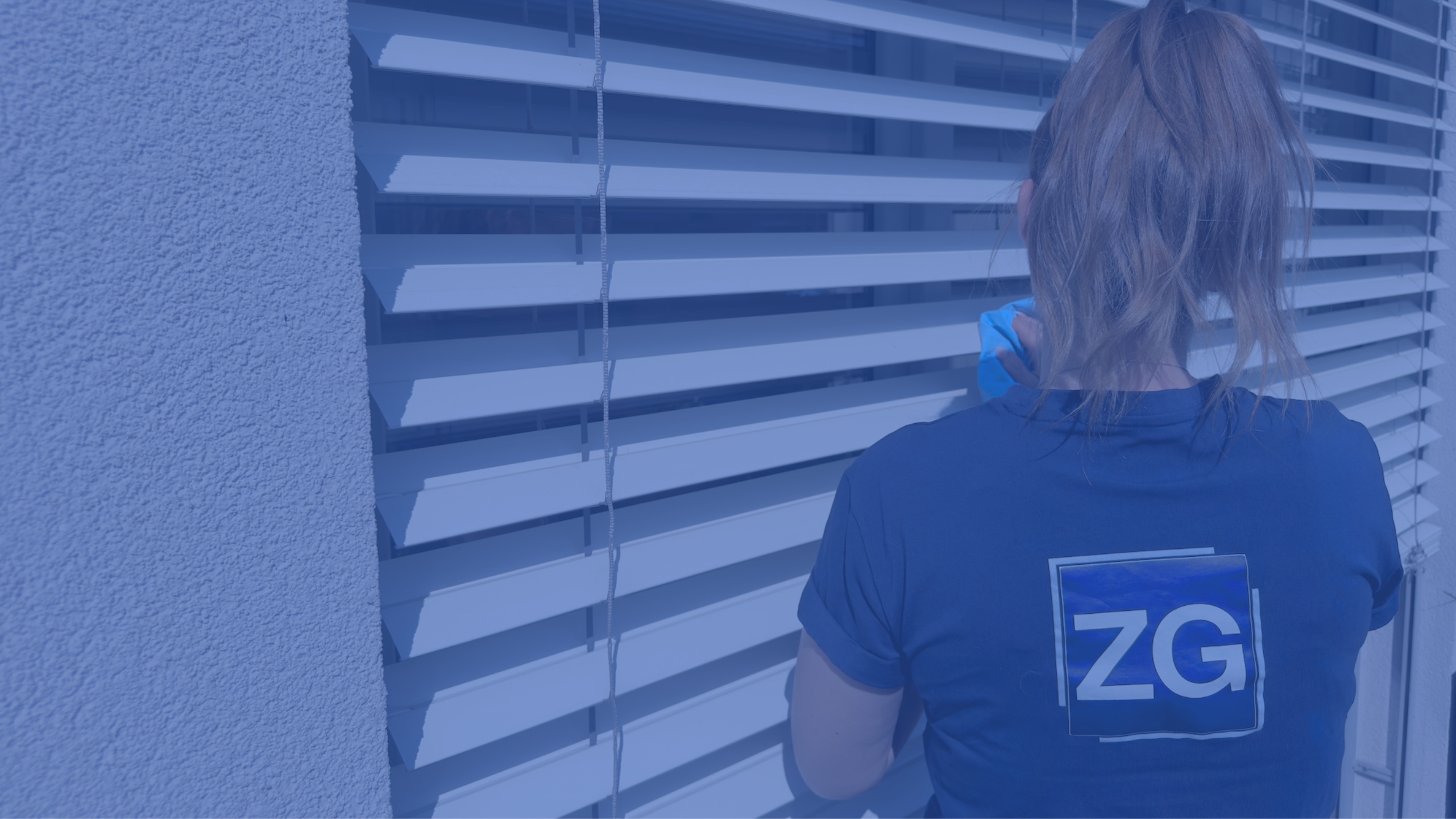Zenya Group foto 3