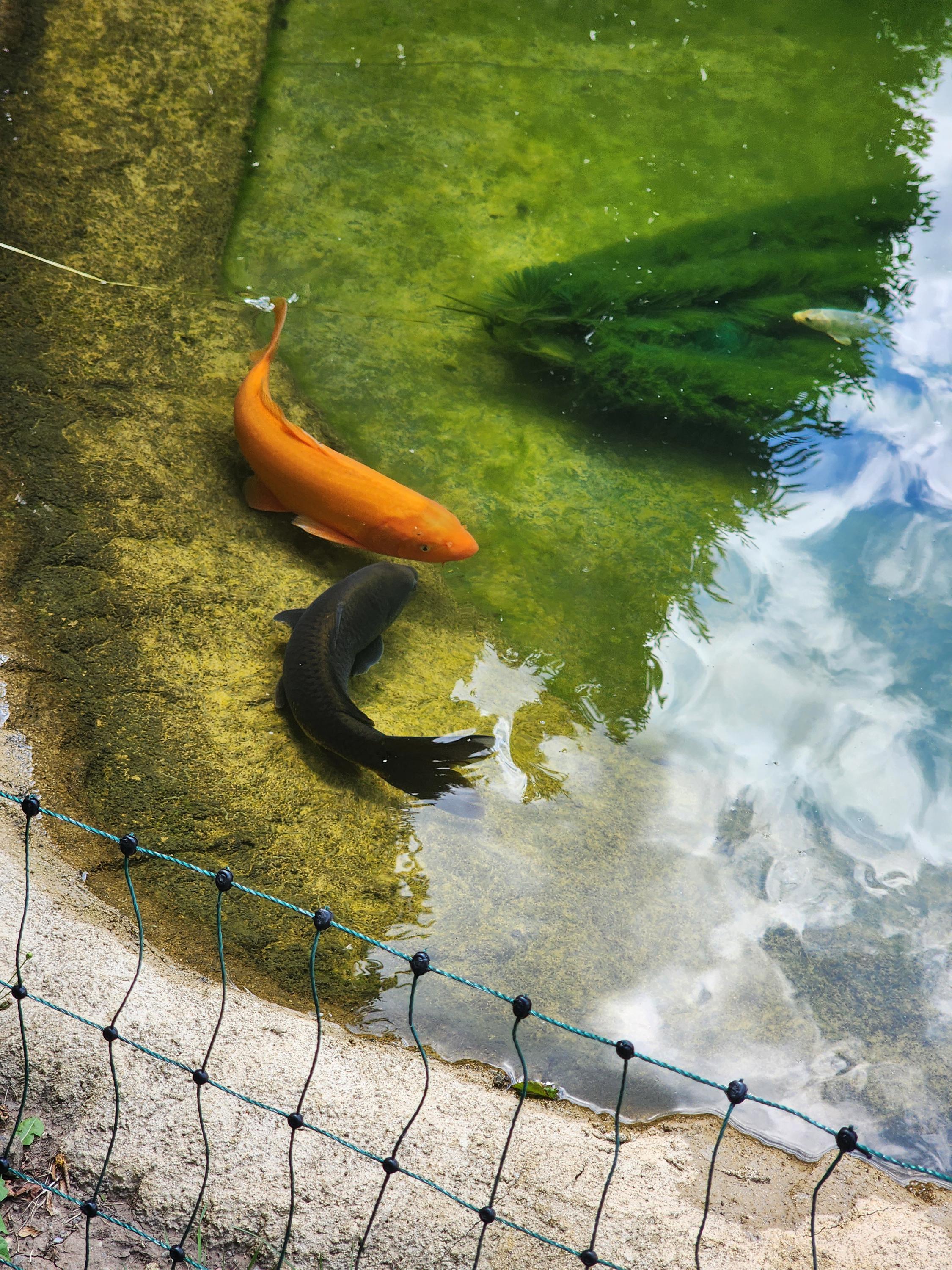 ZOO PARK Vyškov foto 6