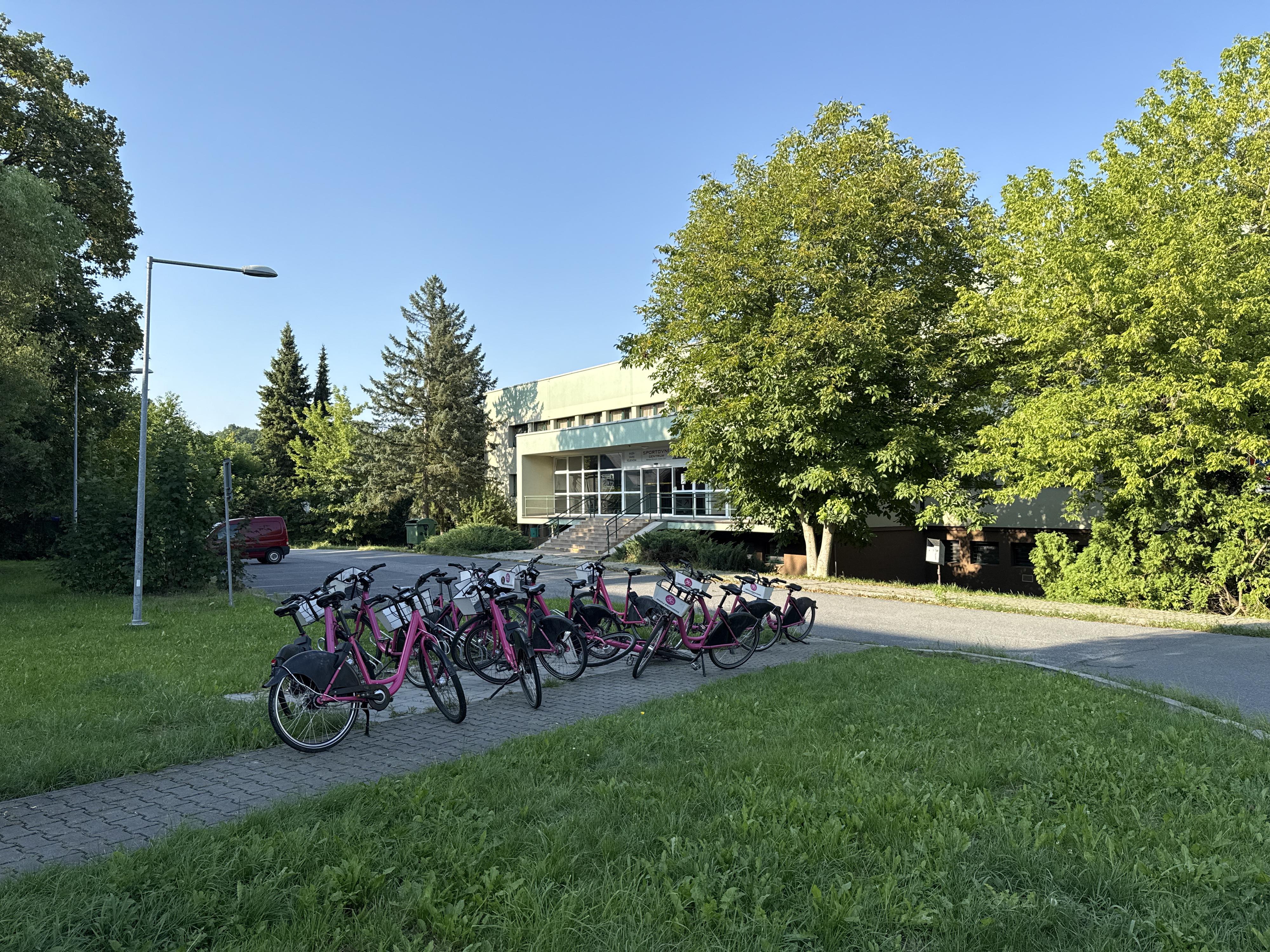 Správa sportovních a rekreačních zařízení Havířov foto 4