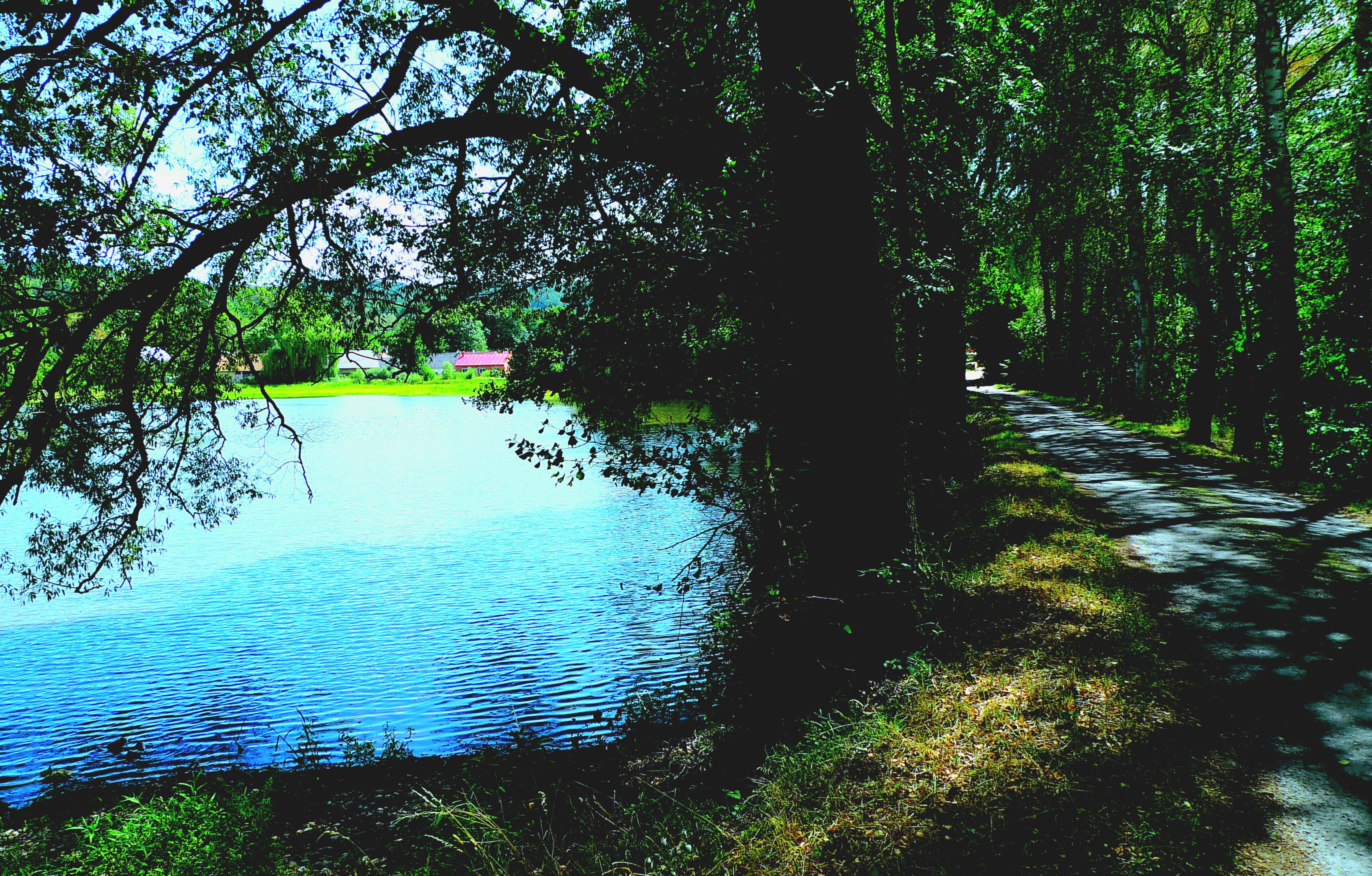 Turistická oblast Pošumaví foto 3