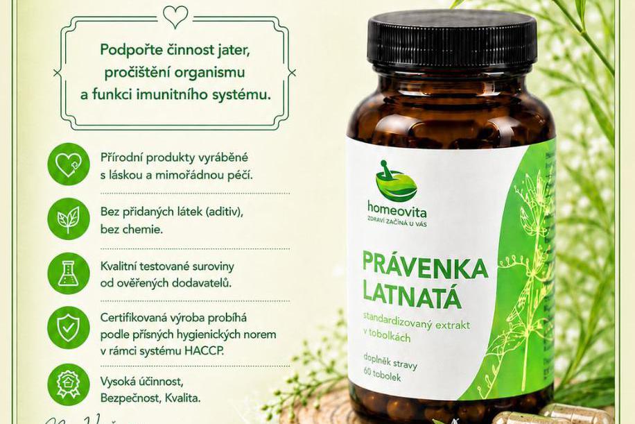 Právenka latnatá 60 cps.