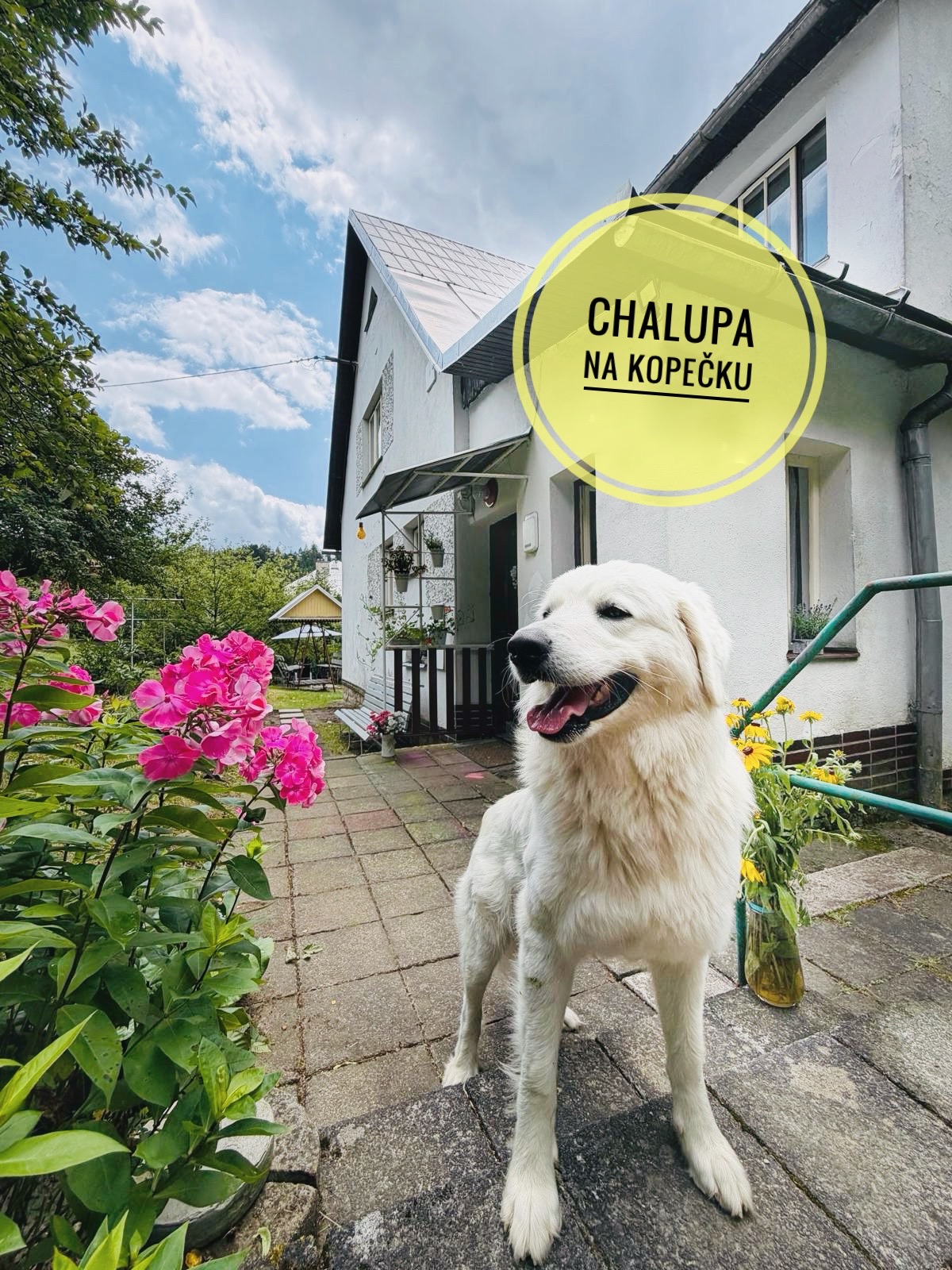 Chalupa na kopečku foto 2