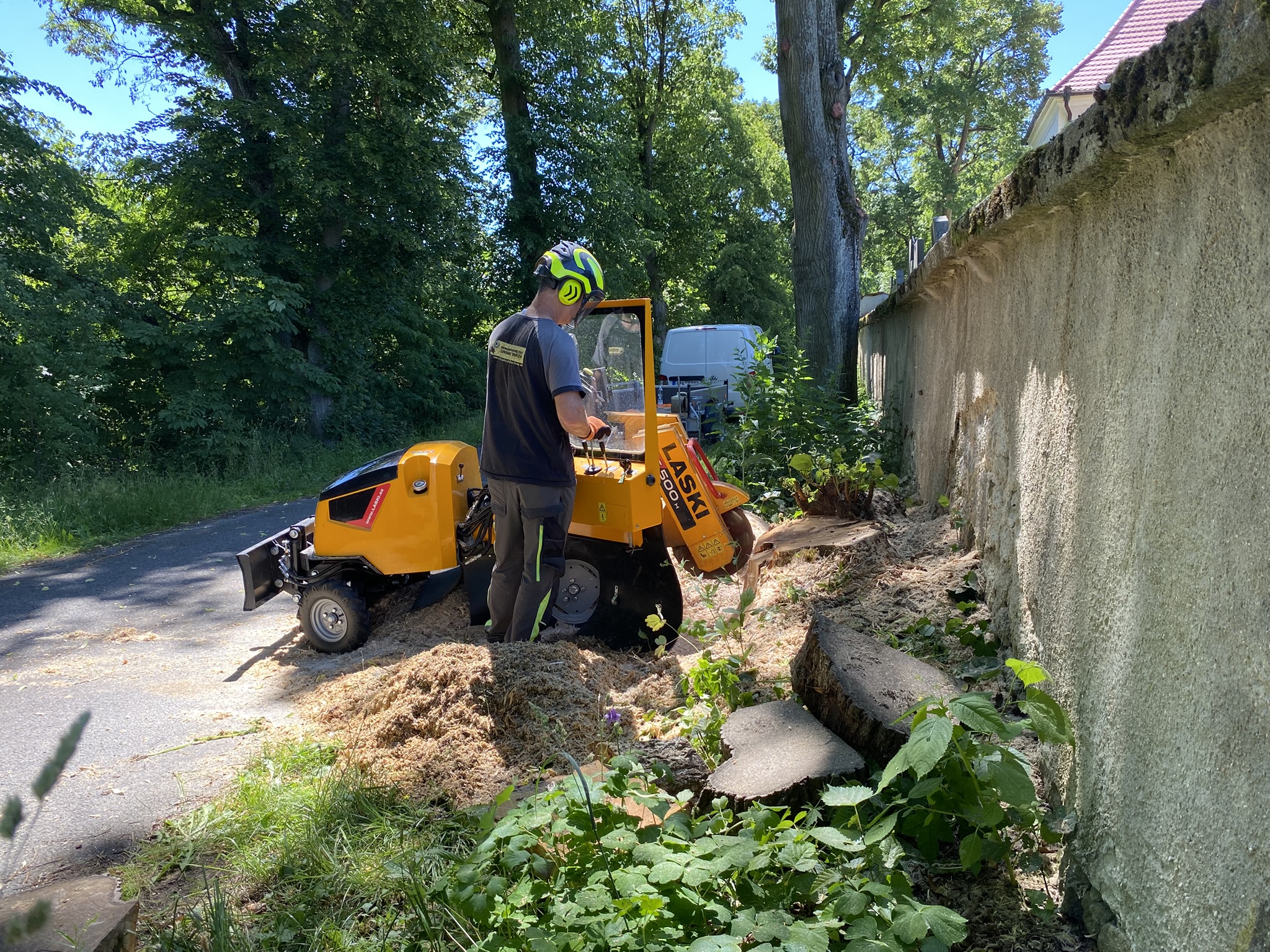 Odstraňujemepařezy.cz foto 5