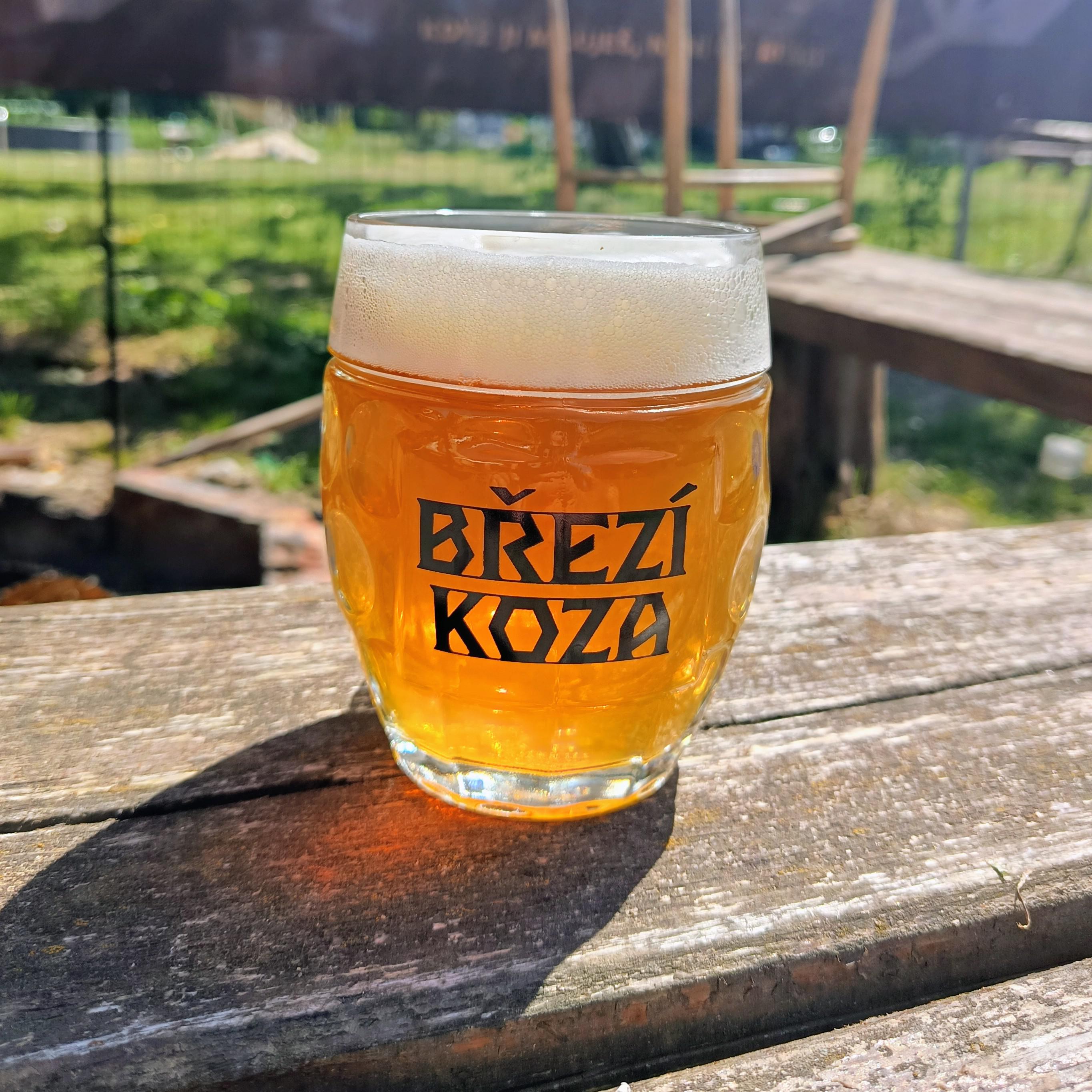 Hostinec u Jana Žižky foto 4