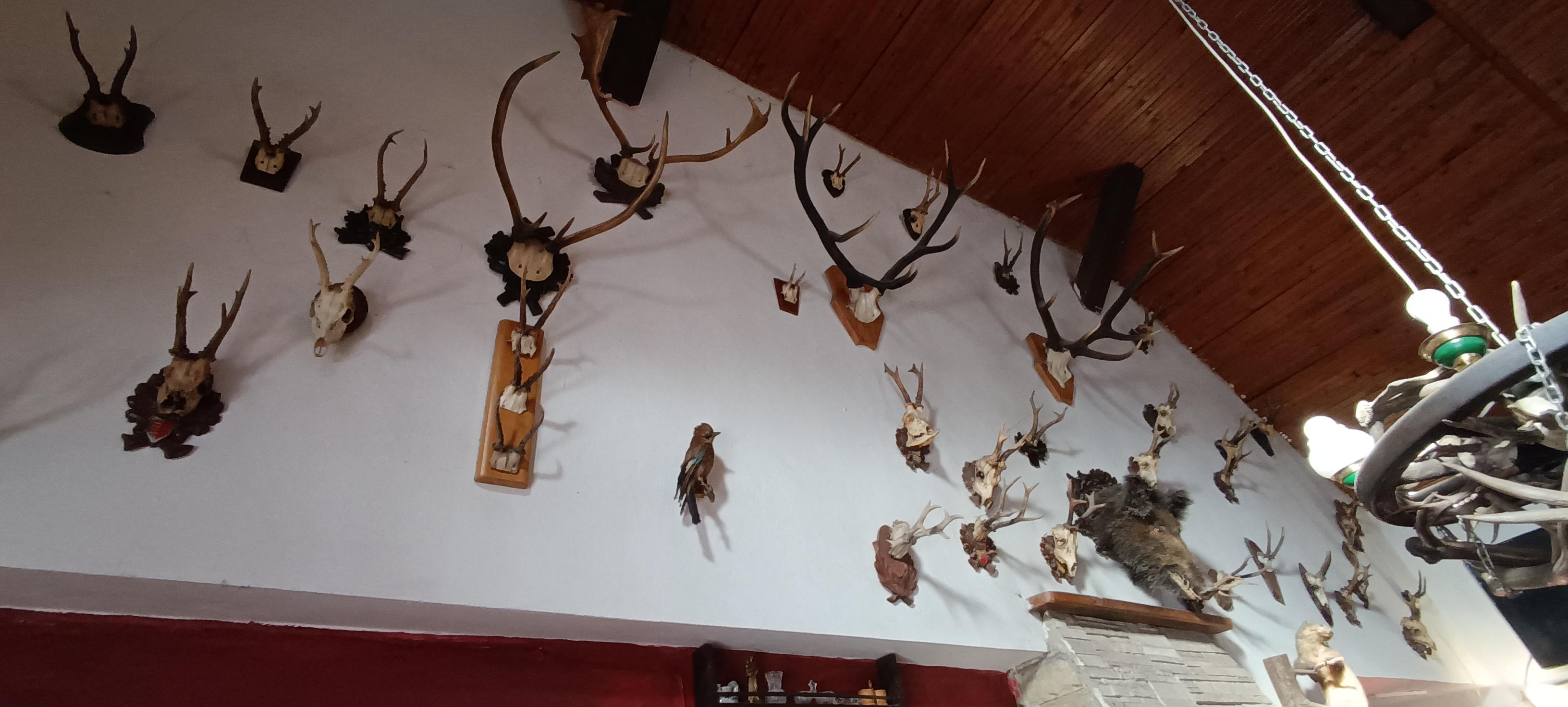 Restaurace U Strakošů foto 4