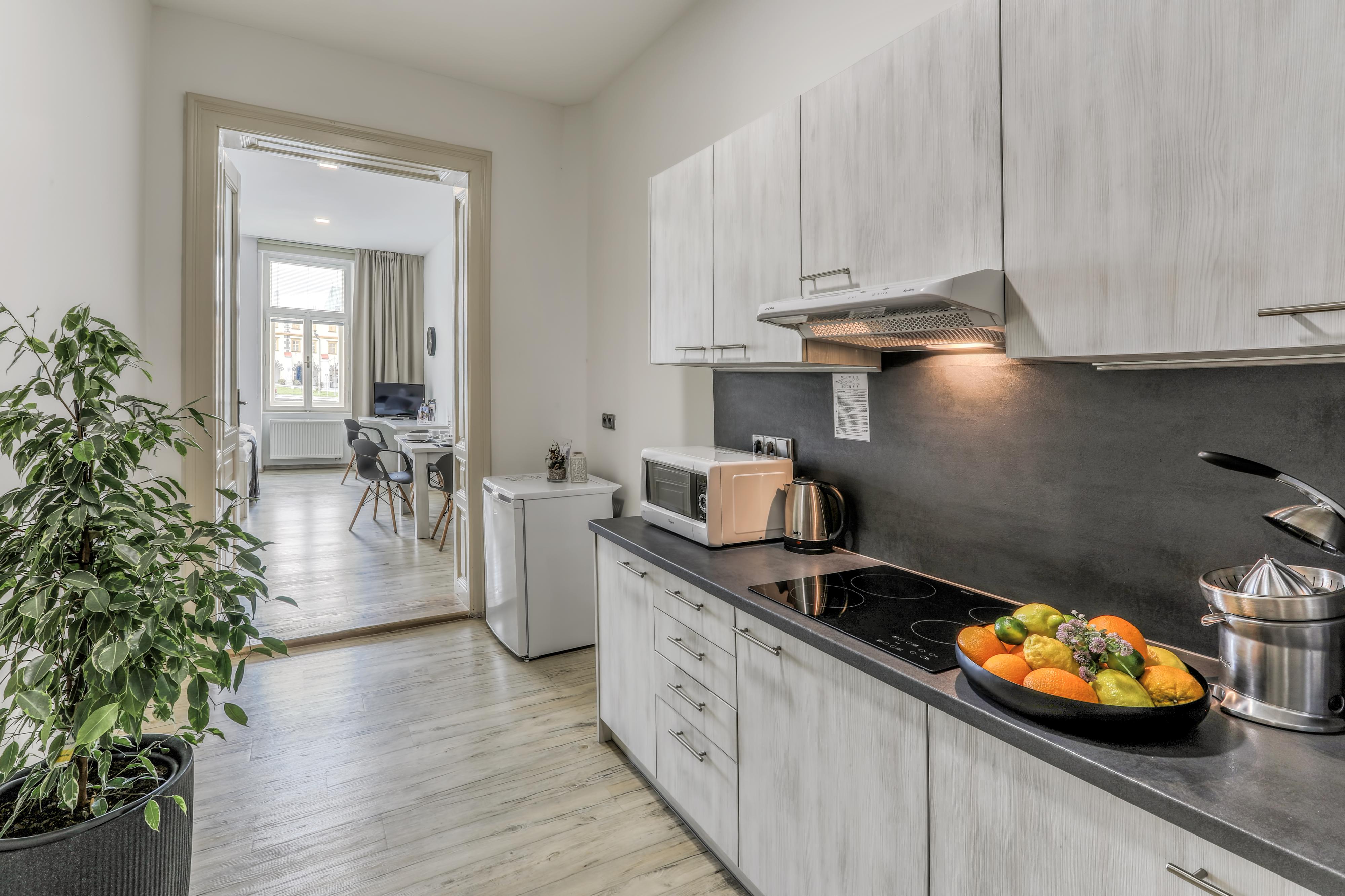 Apartmány Velké náměstí foto 4