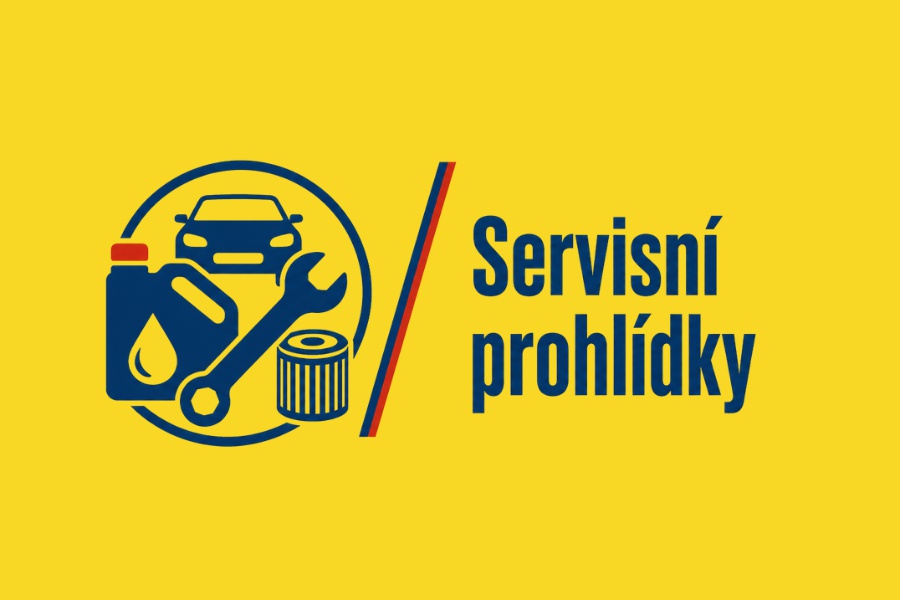 Servisní prohlídky