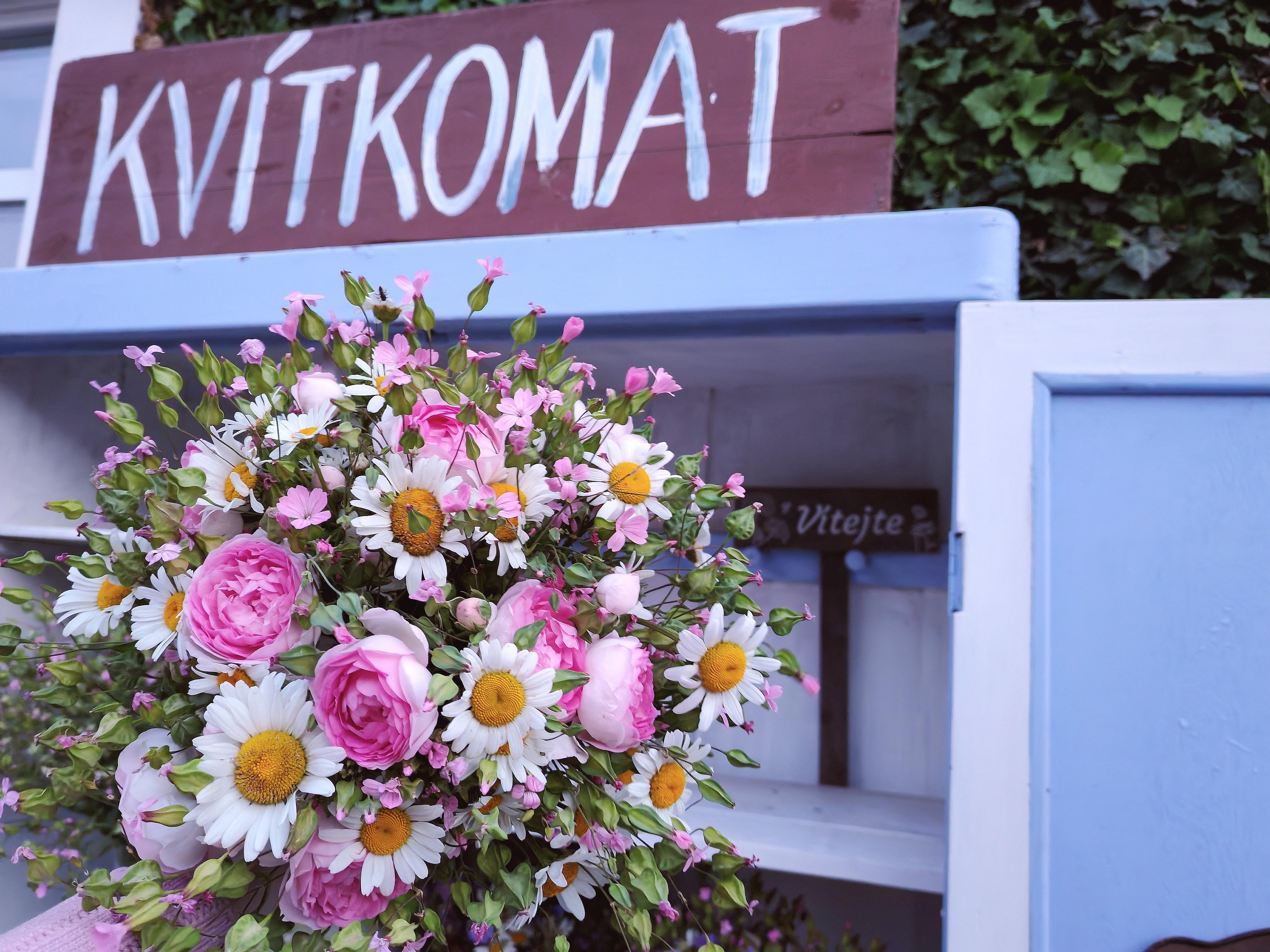Kvítkomat Tuhaň foto 3