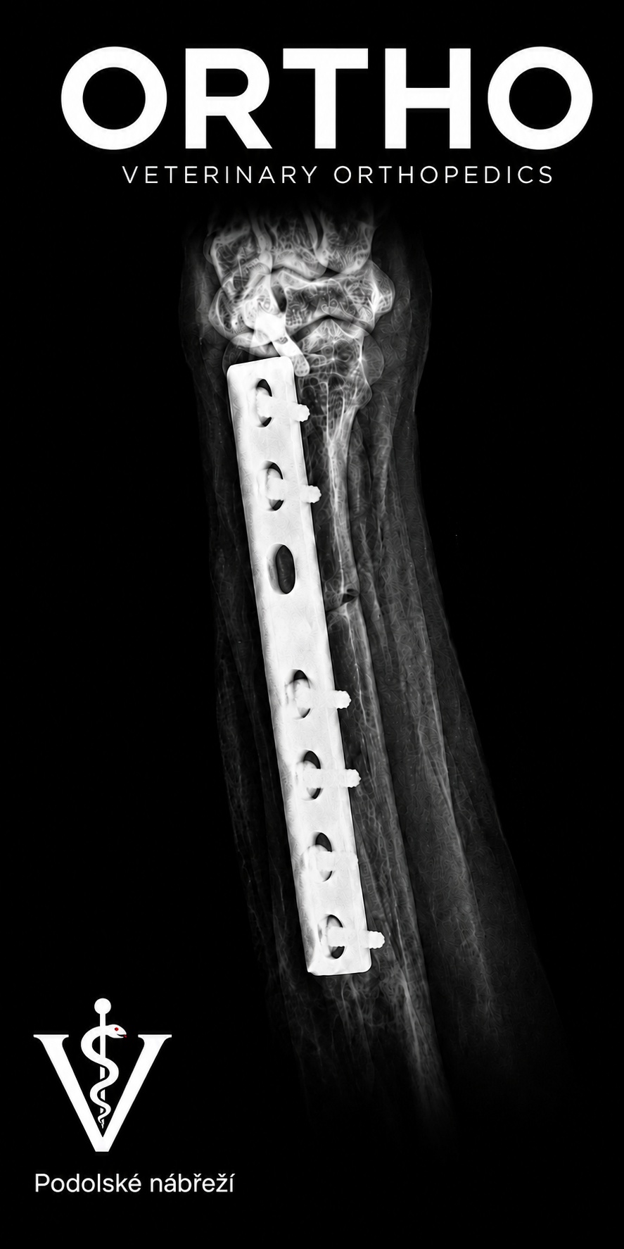 Veterinární klinika Podolské nábřeží foto 3