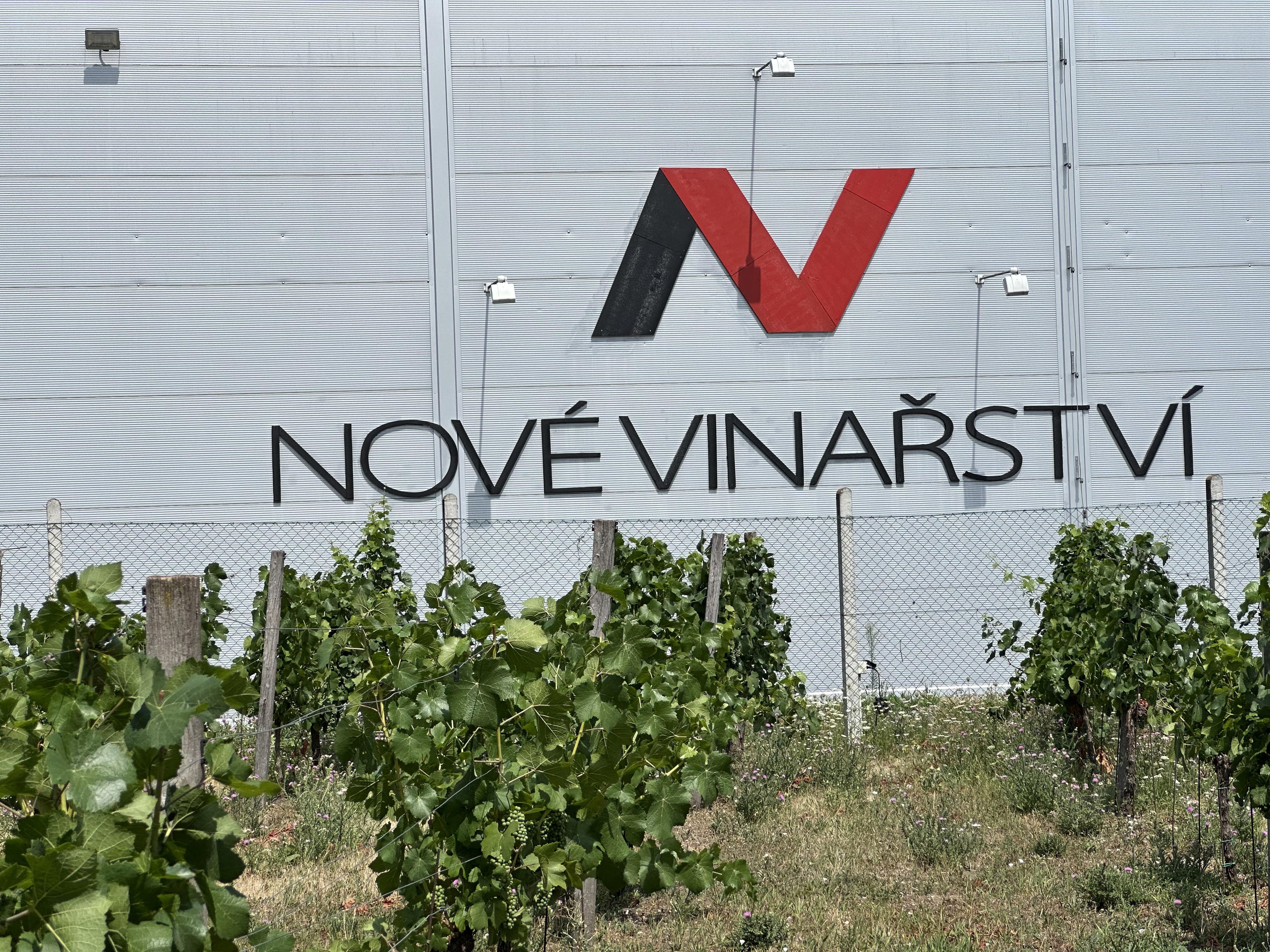 NOVÉ VINAŘSTVÍ, a.s. foto 3